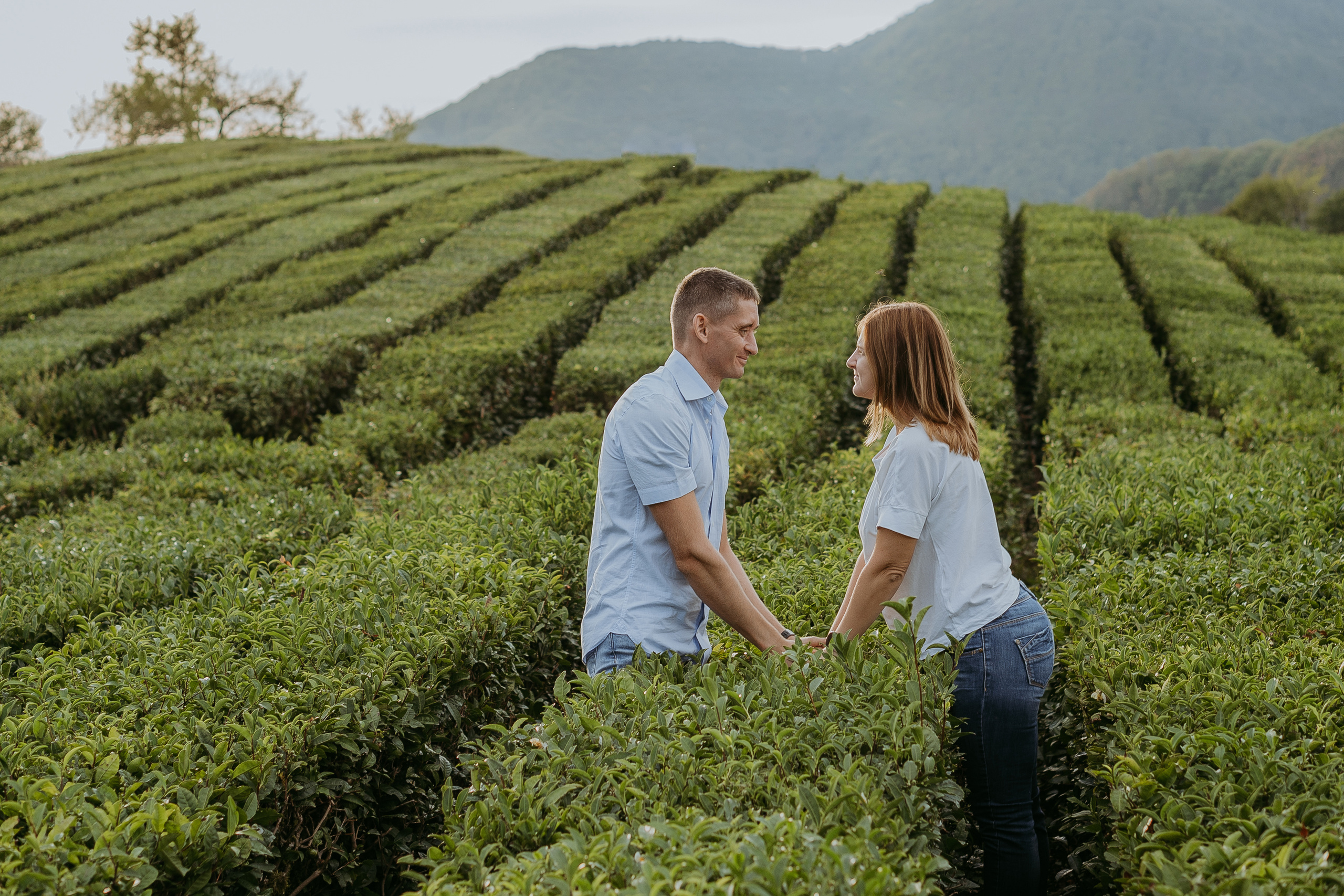 Наталья, Тимур, Элина и Максим. Семейная фотосессия на чайных плантациях. Фотограф в Сочи и Абхазии | Фототуры | September Air