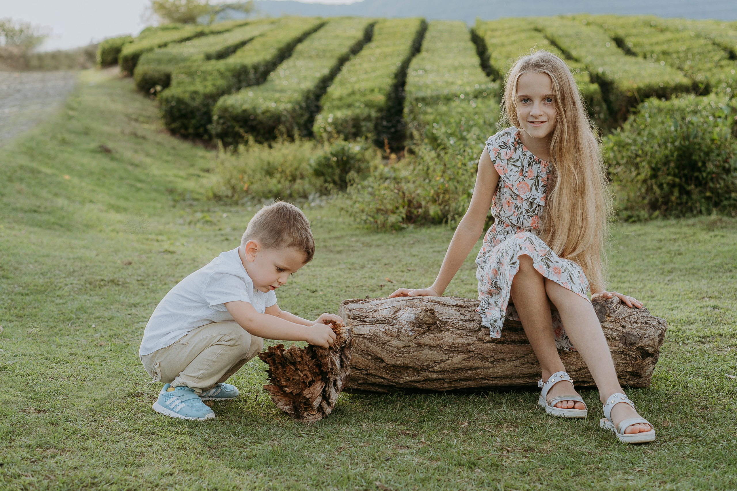 Наталья, Тимур, Элина и Максим. Семейная фотосессия на чайных плантациях. Фотограф в Сочи и Абхазии | Фототуры | September Air