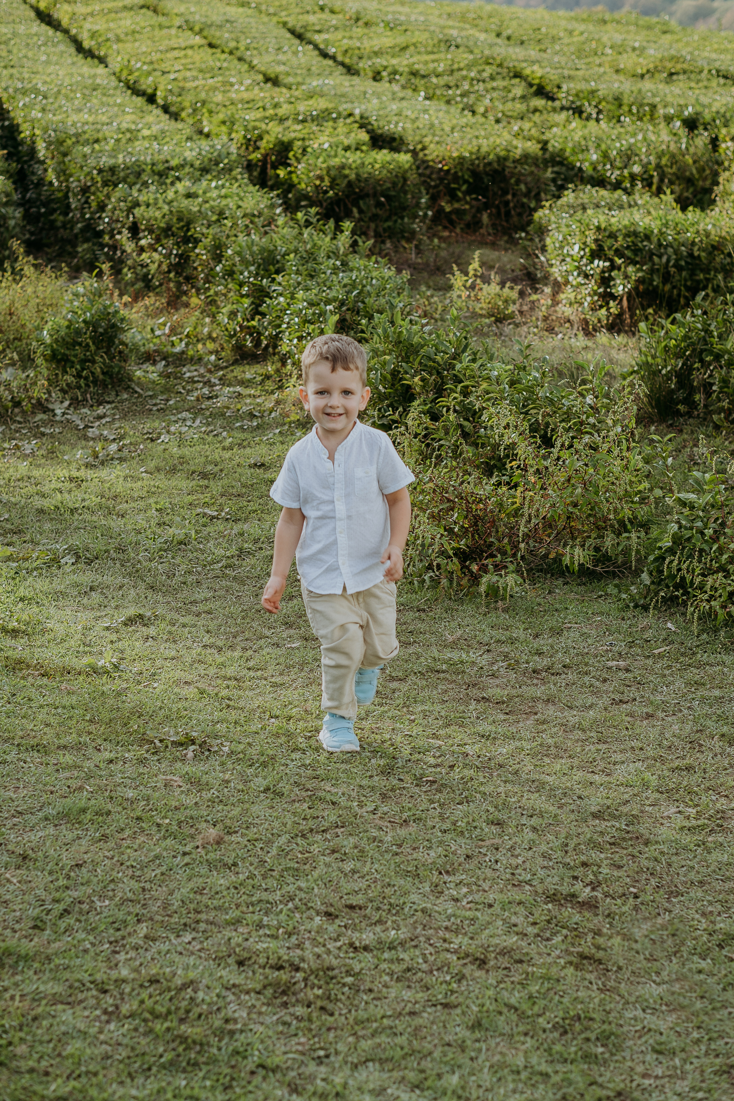 Наталья, Тимур, Элина и Максим. Семейная фотосессия на чайных плантациях. Фотограф в Сочи и Абхазии | Фототуры | September Air
