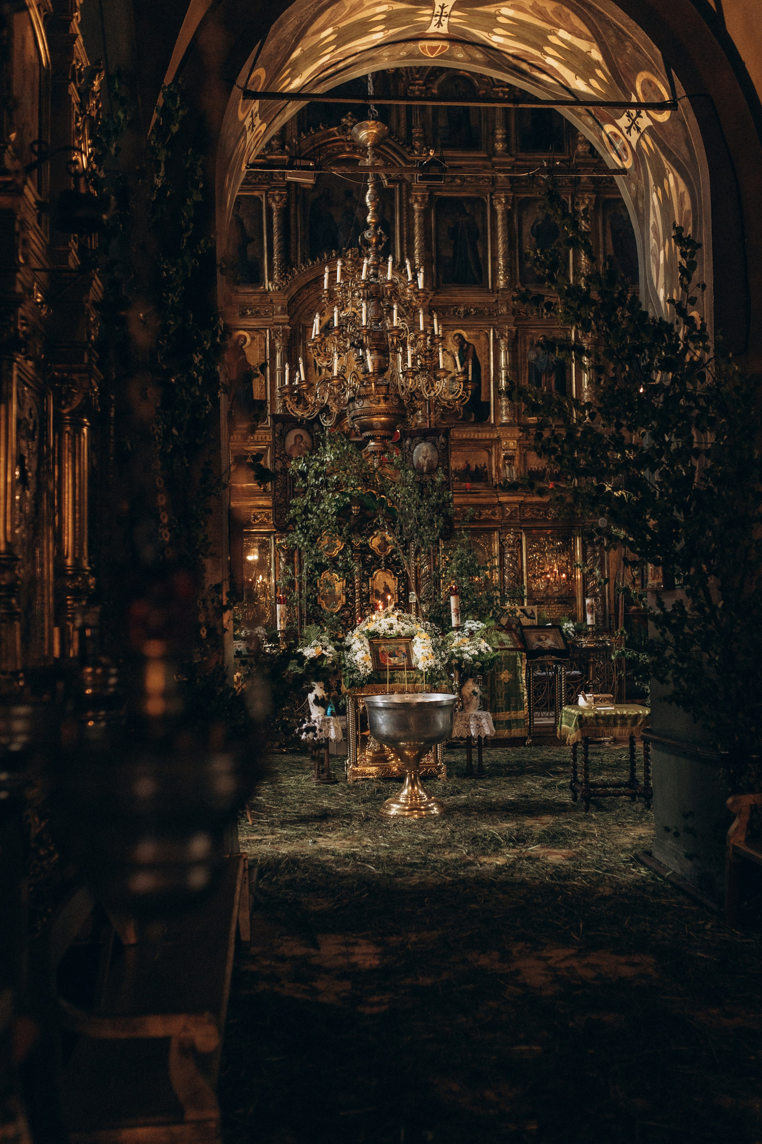 Услуги. Семейный и детский фотограф в Дмитрове и Москве Старцева Ирина