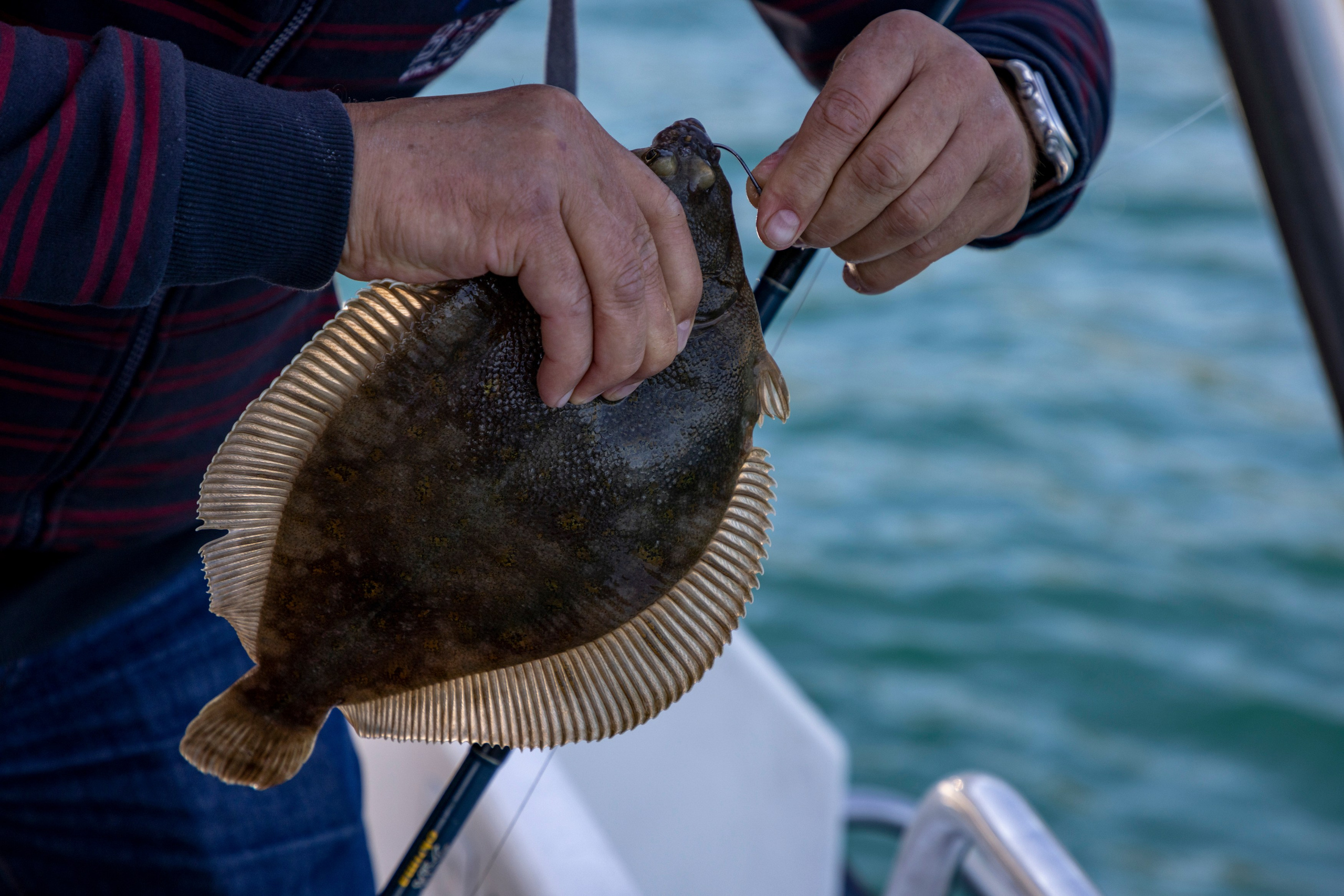 Мыс Зелёный — вулканические скалы и океанские виды. Время Камчатки: чтобы найти свой путь, нужно скорость умножить на время