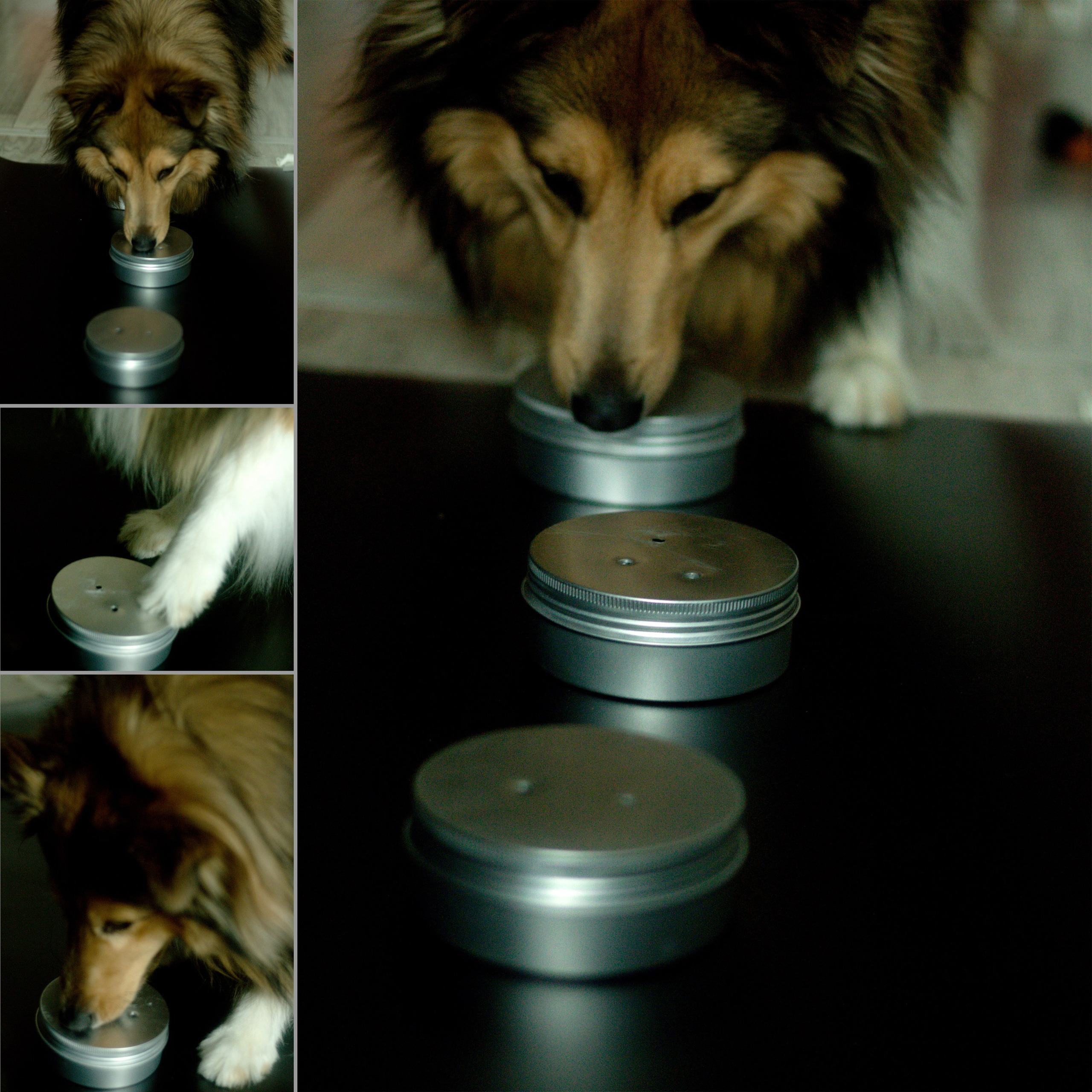 Катя Попова|ЛайфСтайл фотограф