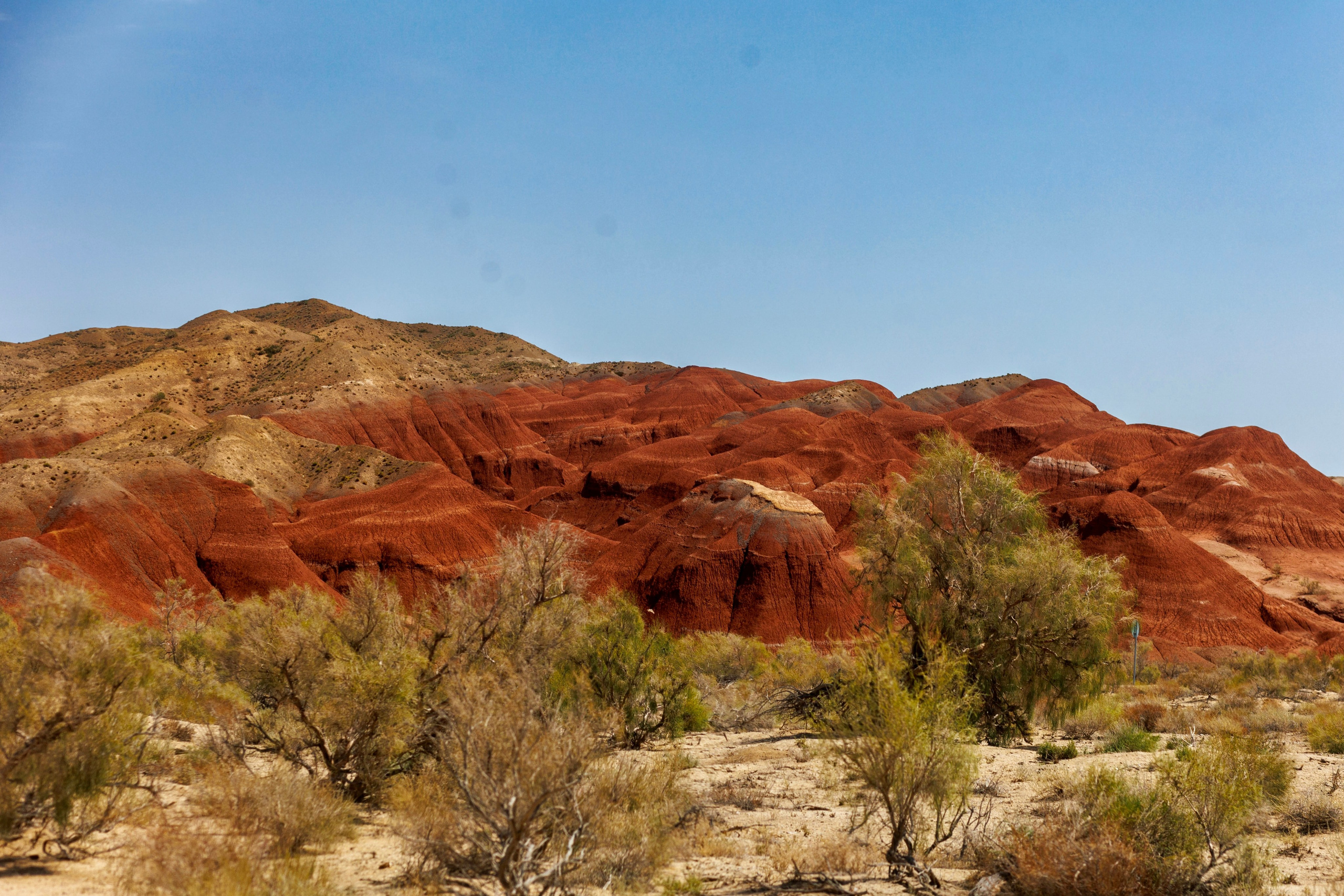 Контакты. Экскурсии и туры по Алматы