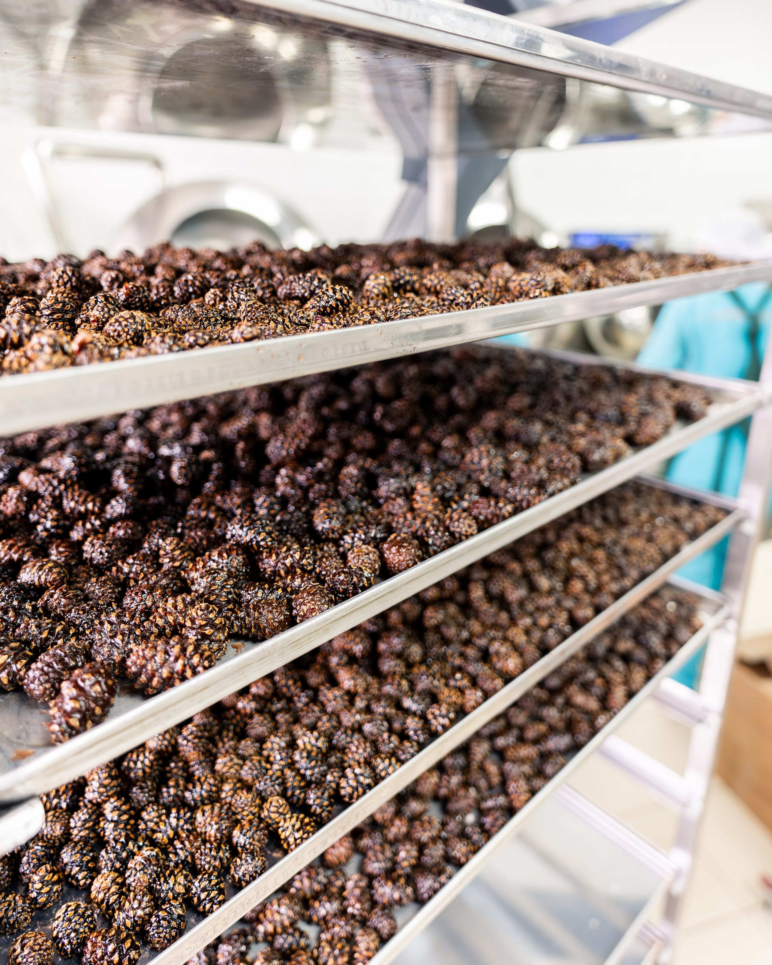 Репортажный фотограф в Москве Вадим Галанин