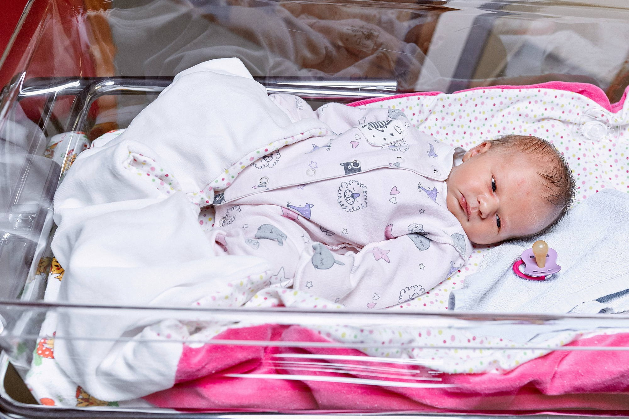 Фотограф на выписку в Москве, заказать услуги фотосъёмки — Цены и стоимость услуг профессионального фотографа для фотосессии выписки