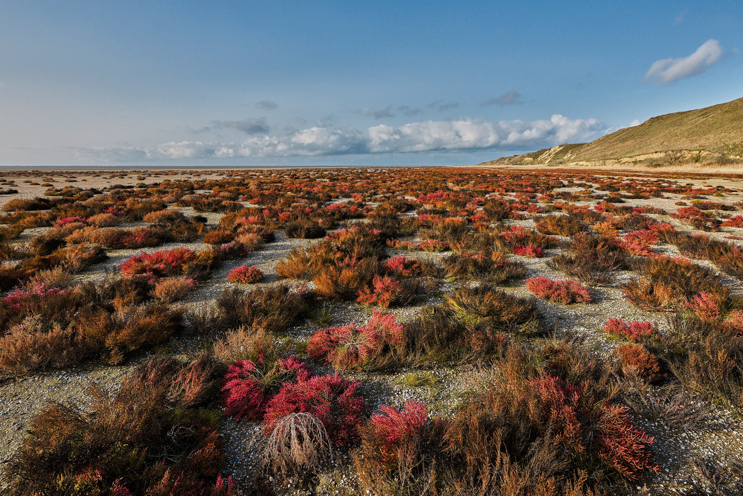 Пейзажи. Яркие фото на Чёрном море