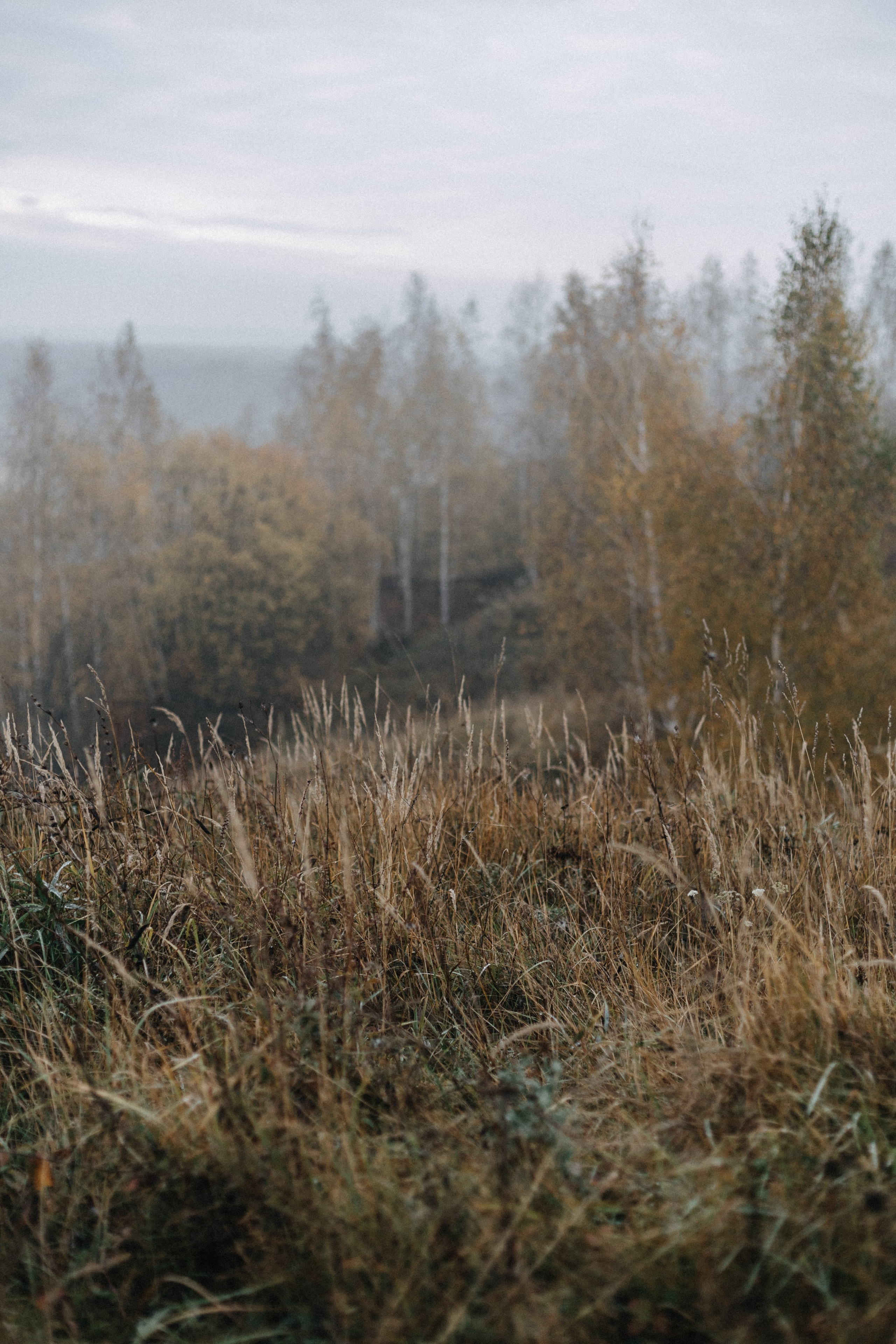 За городом. Про любовь