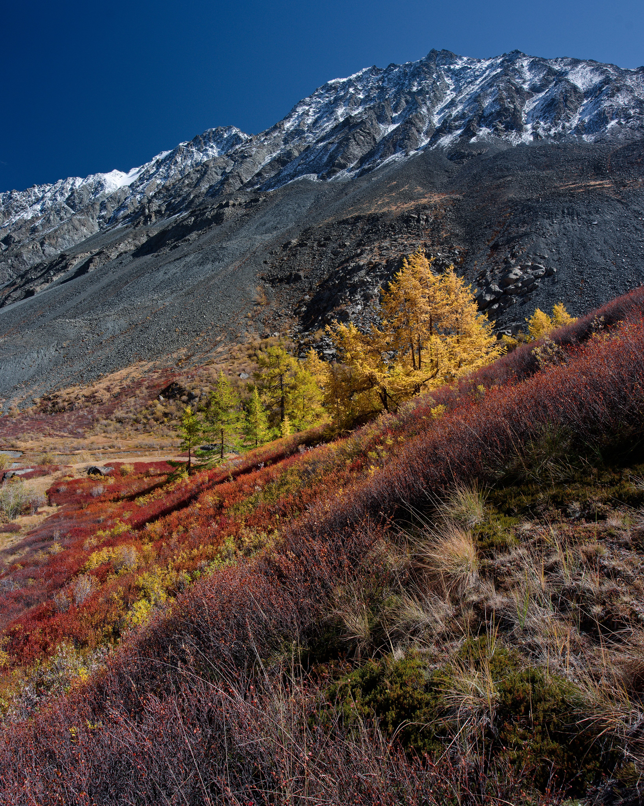Путешествие по южному Алтаю. Семоха Валерий. Фотограф