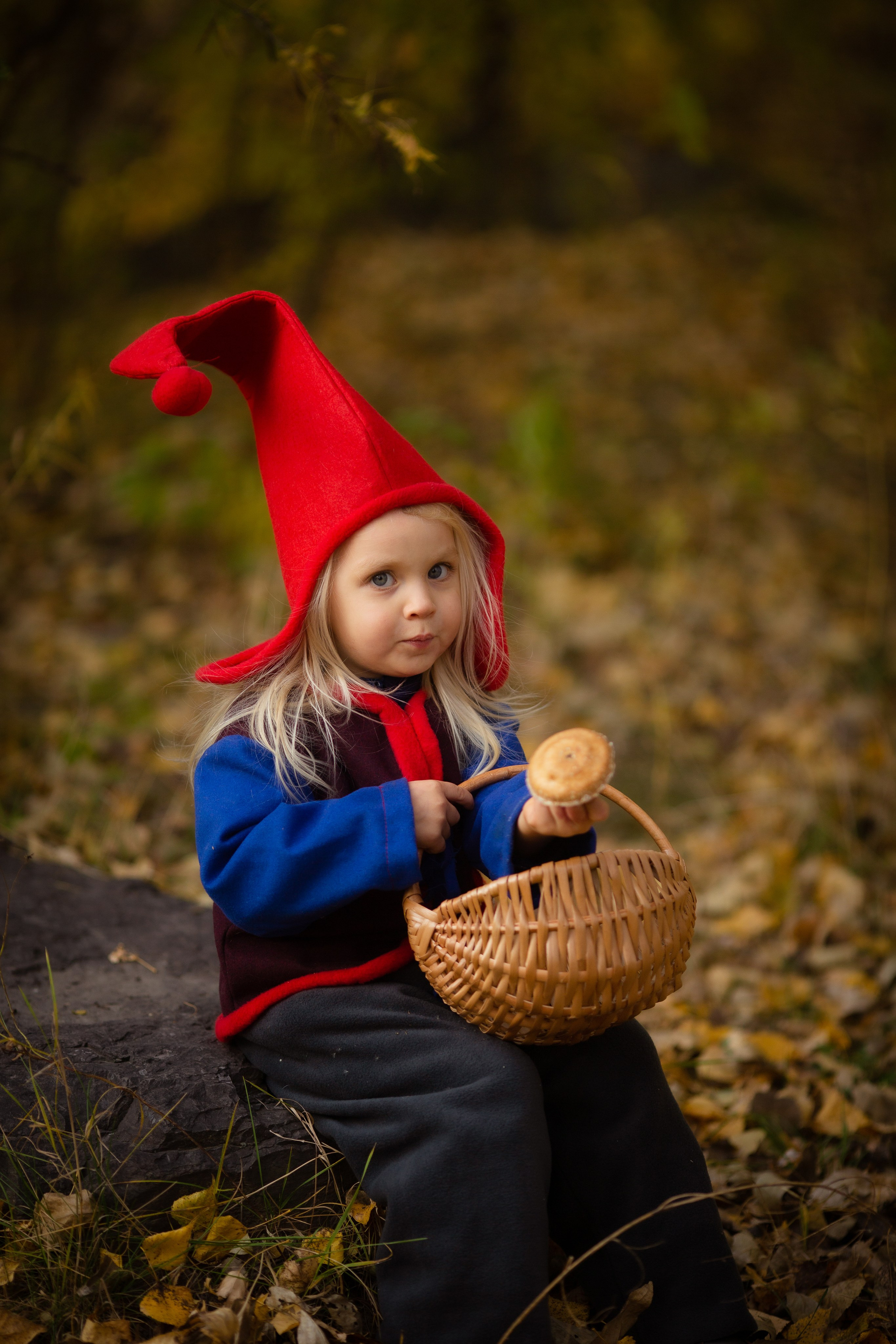 Лесные гномы