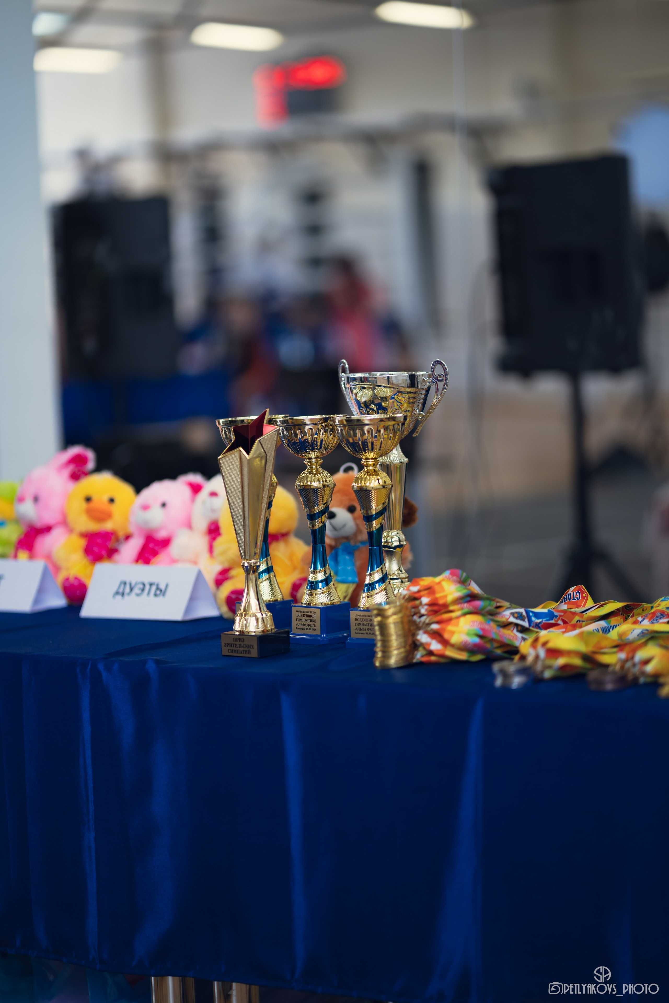 Соревнования по воздушной гимнастике (репортаж). Фотограф, видеограф Пятигорск, Ставрополь, Ессентуки, Petlyakovs_photo