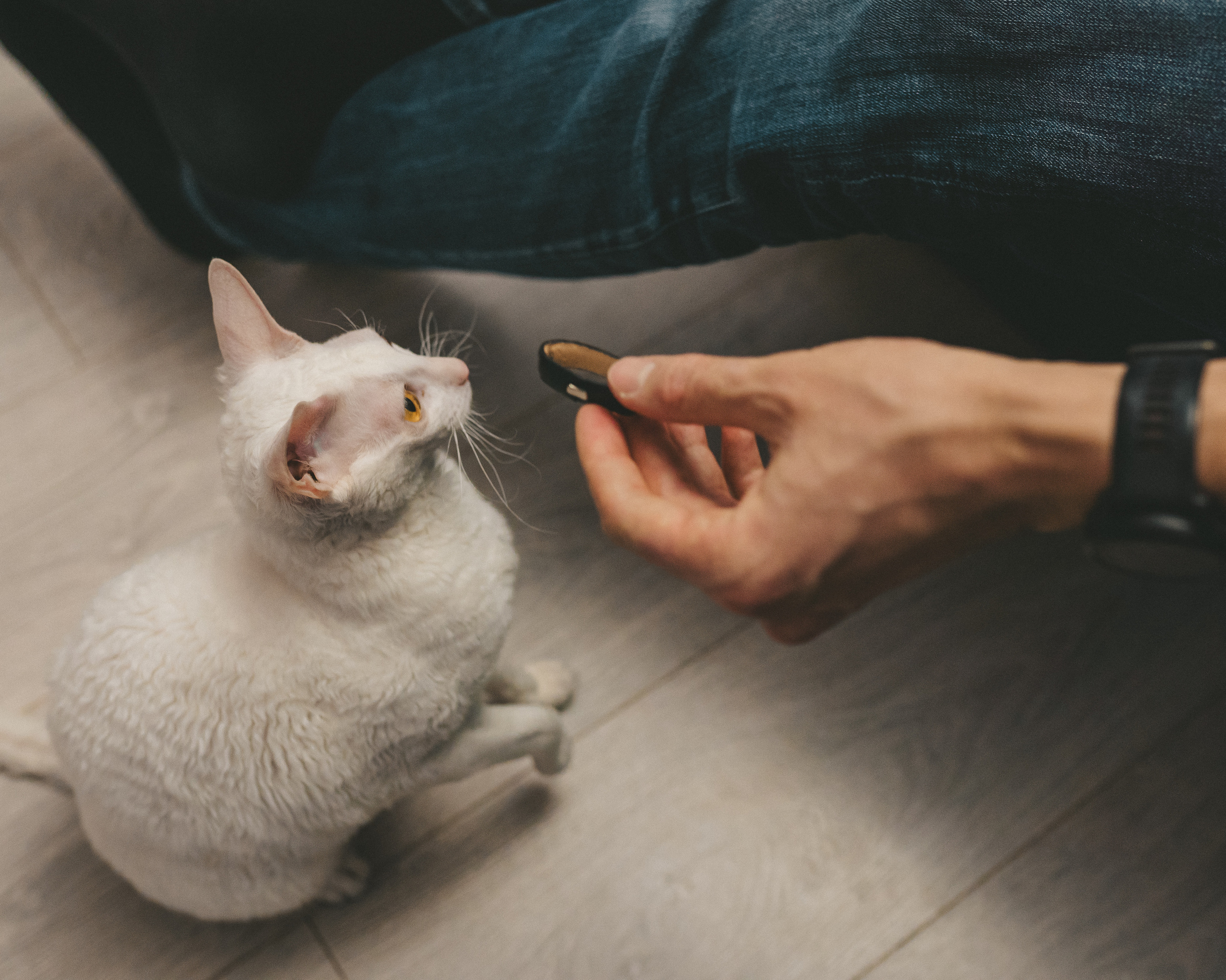 Семейная съемка. Детский семейный фотограф в Москве Евгения
