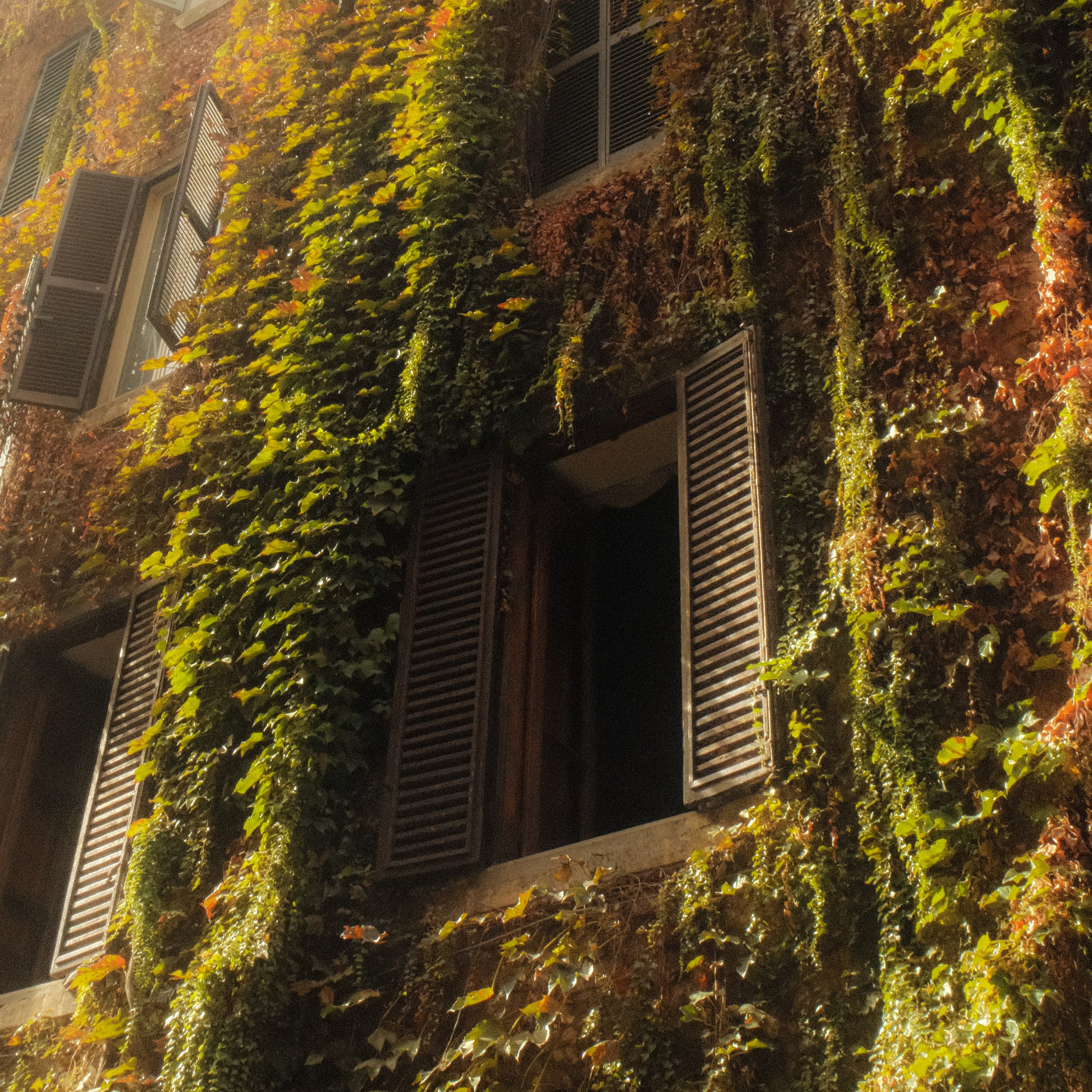 Florence & Rome. Creative travel photographer — Berg Daria