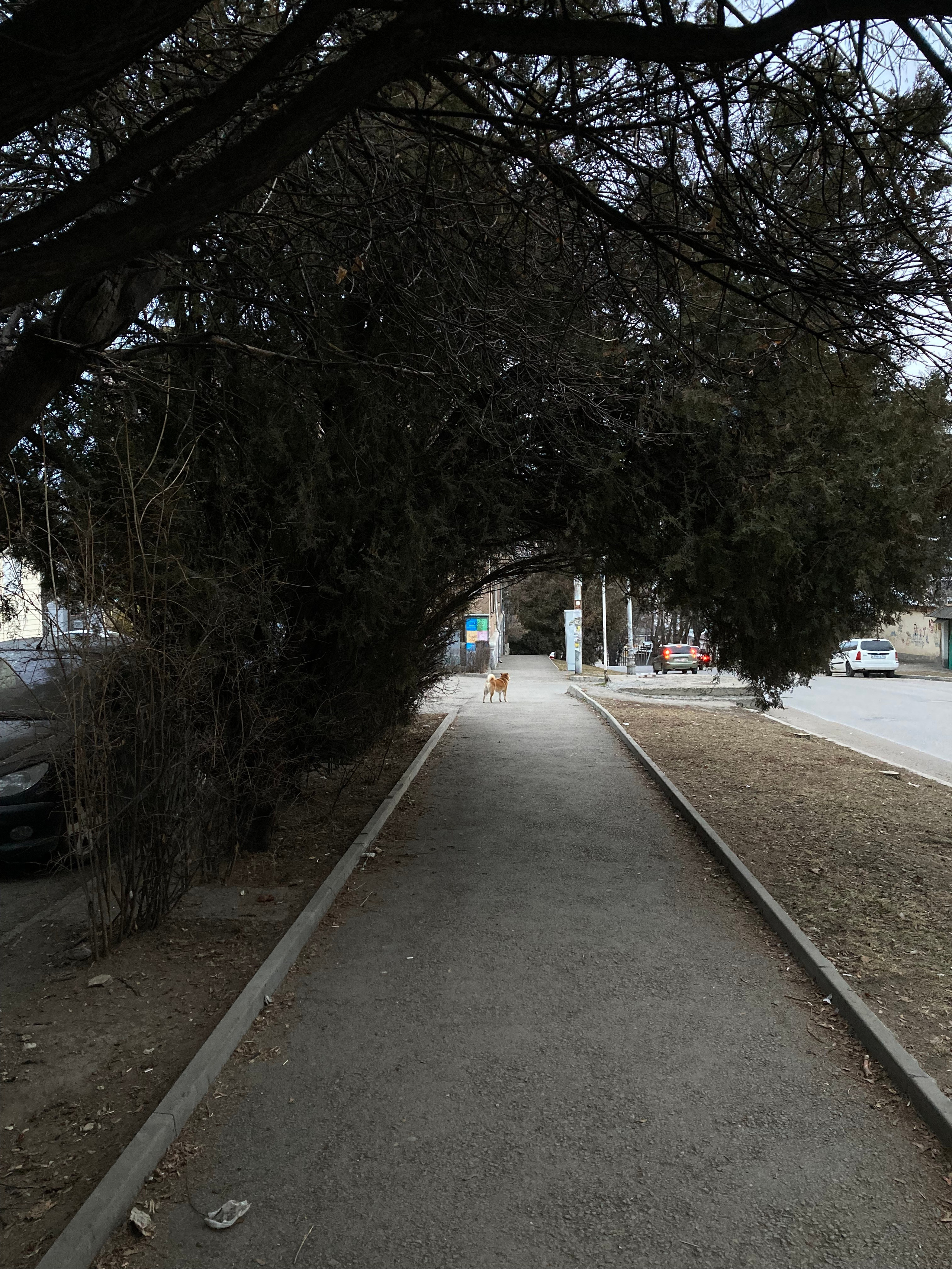 Кисловодск. Смотри, красота!