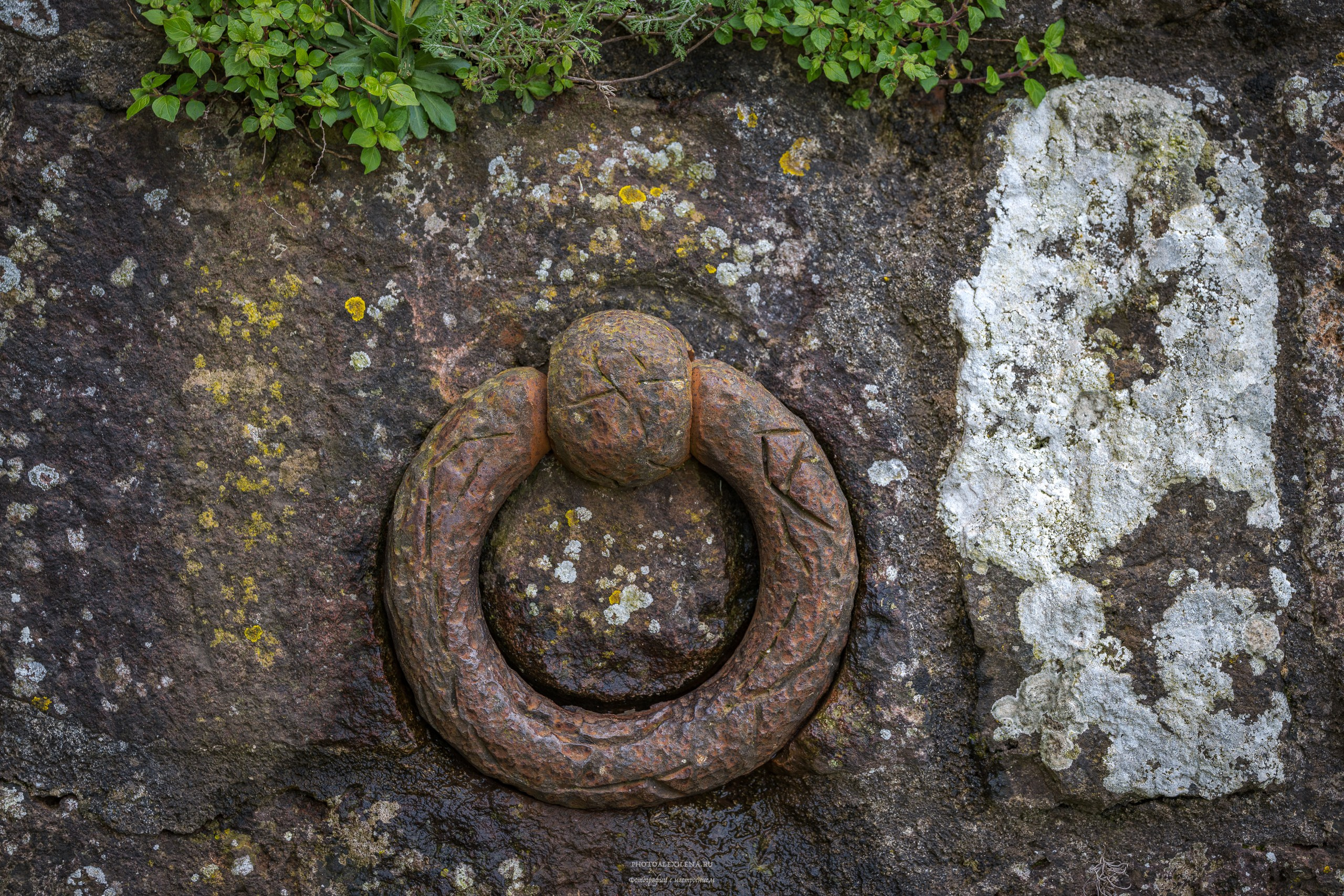 Радикофани и Баньо Виньони. Авторские стильные фотокартины