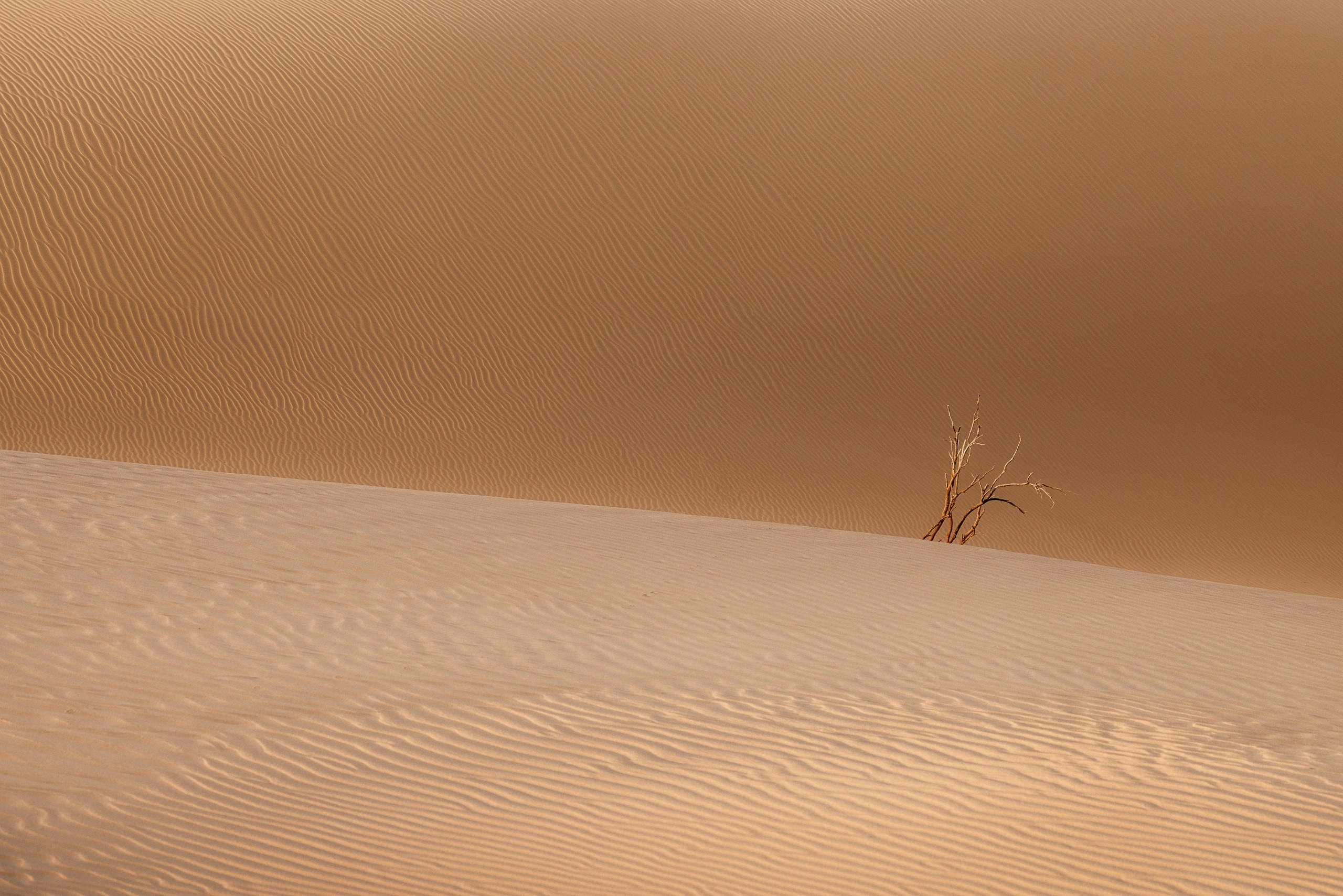 Экспедиция в Мангистау. Казахстан (28.03 — 11.04.25). Фотограф Константин Шамин