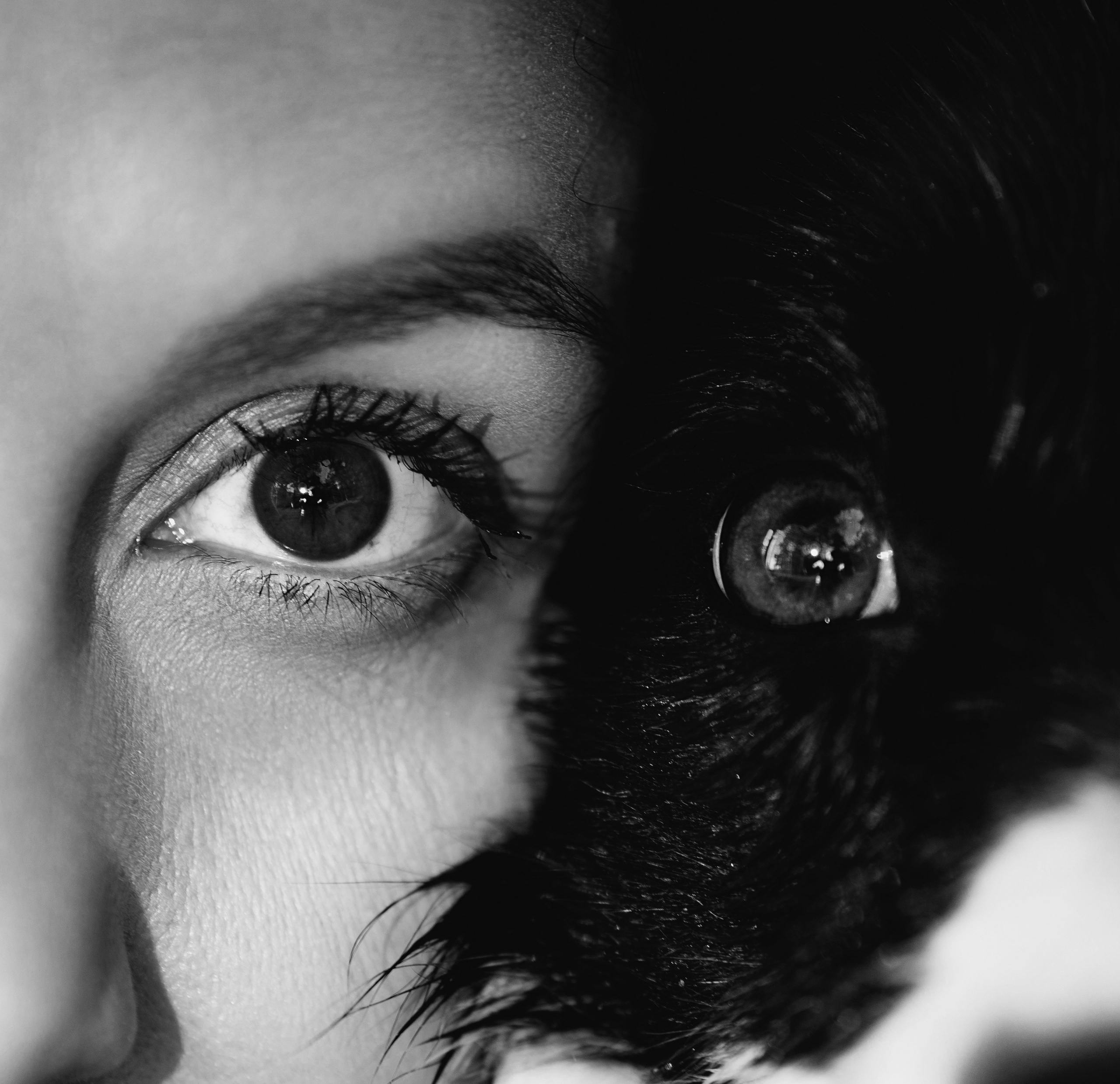 Съемка животных в Петрозаводске. Фотограф Варвара Ермоленко