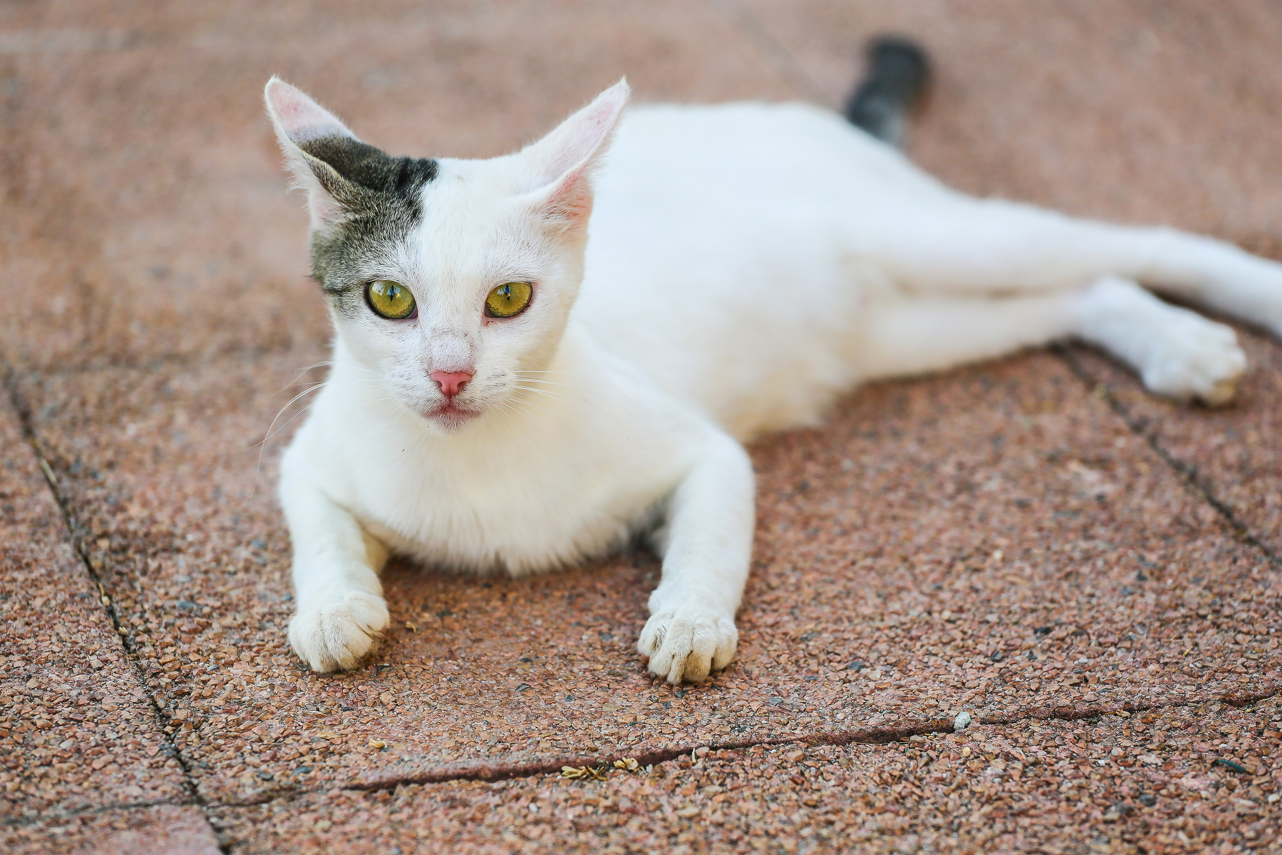 Греция: термальный курорт Лутраки. Дарья Письменюк / Darya Leitstern — фотограф, музыкант, журналист, путешественник