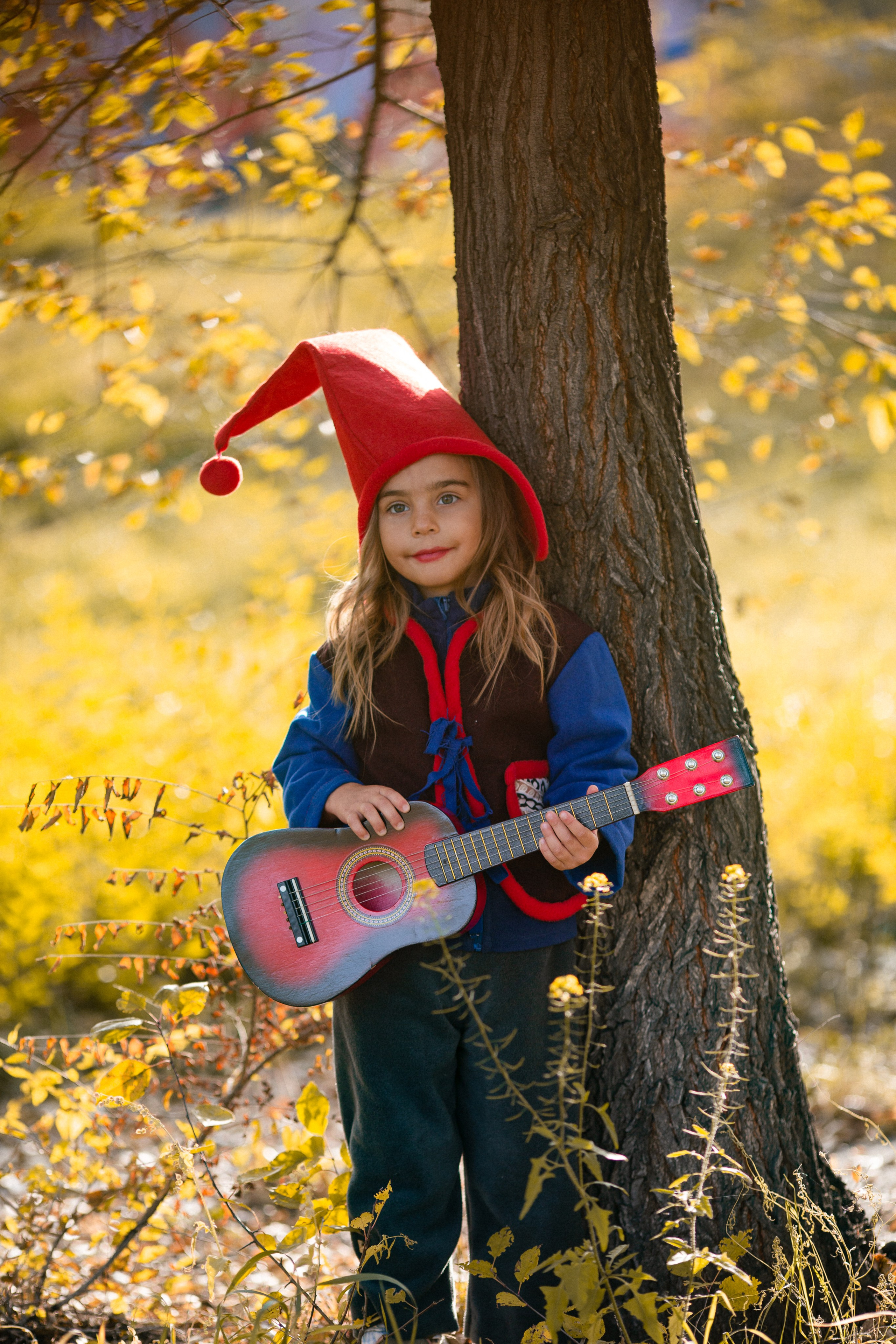 Лесные гномы