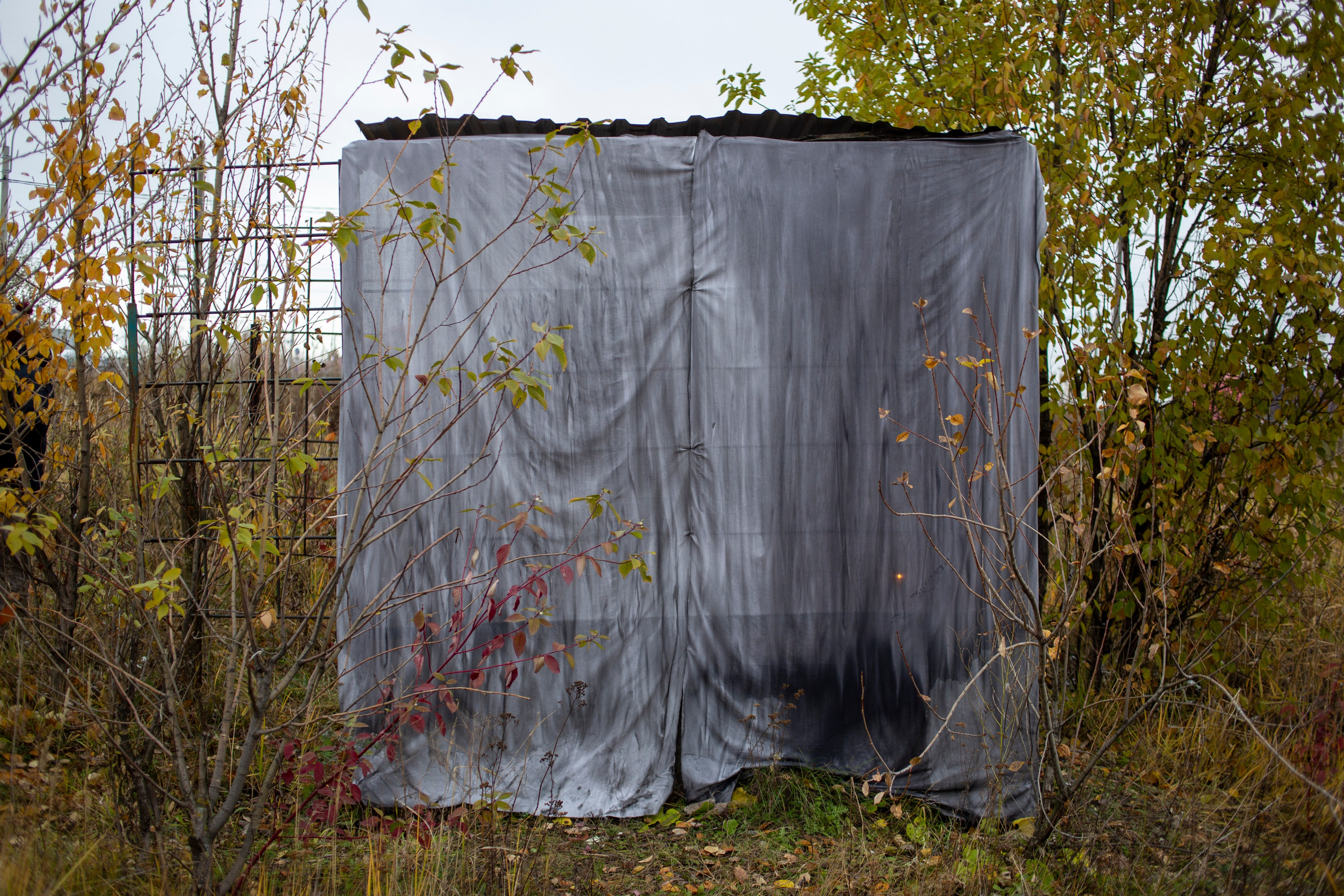 Сумерки речи. Михаил Курганов