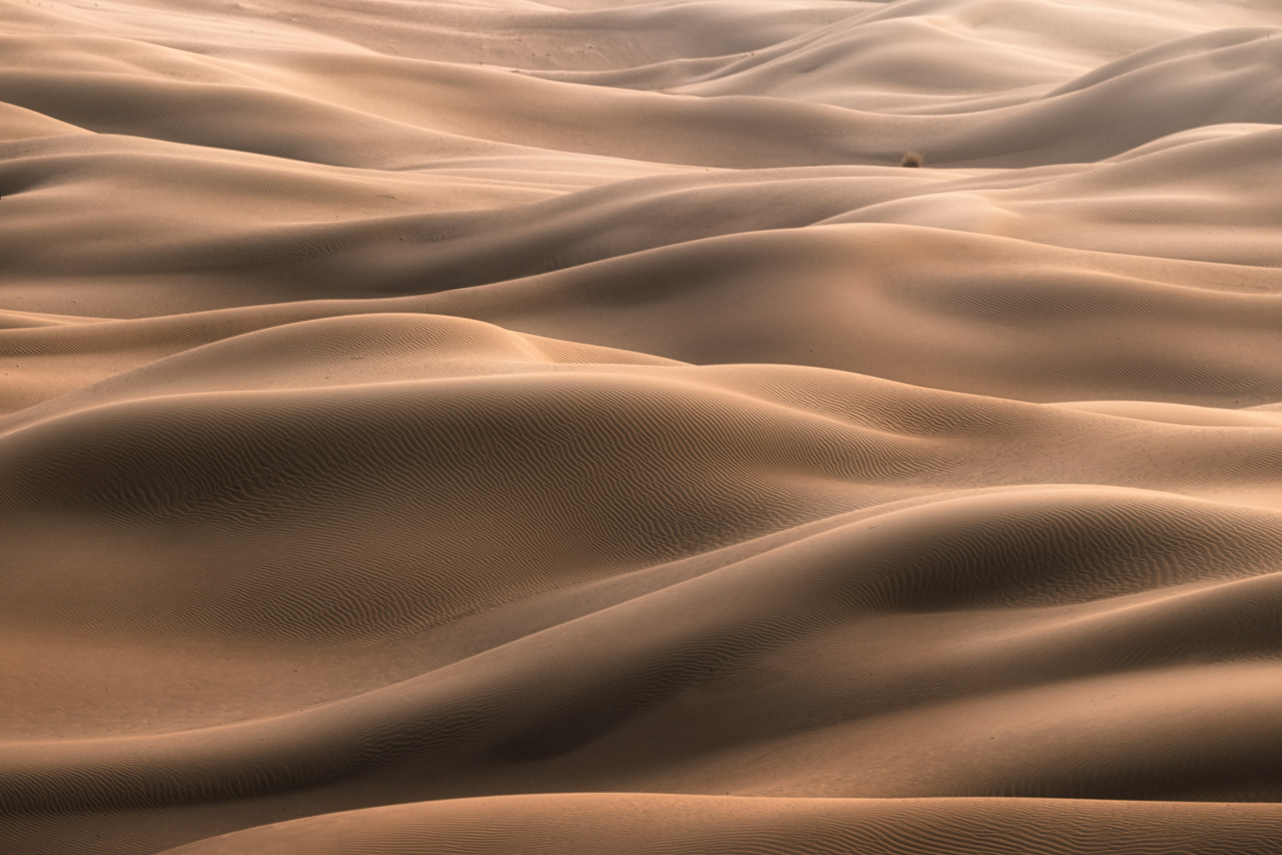 Мангистау Апрель 2025 | Фотограф Дмитрий Купрацевич. Дмитрий Купрацевич профессиональный пейзажный и travel-фотограф