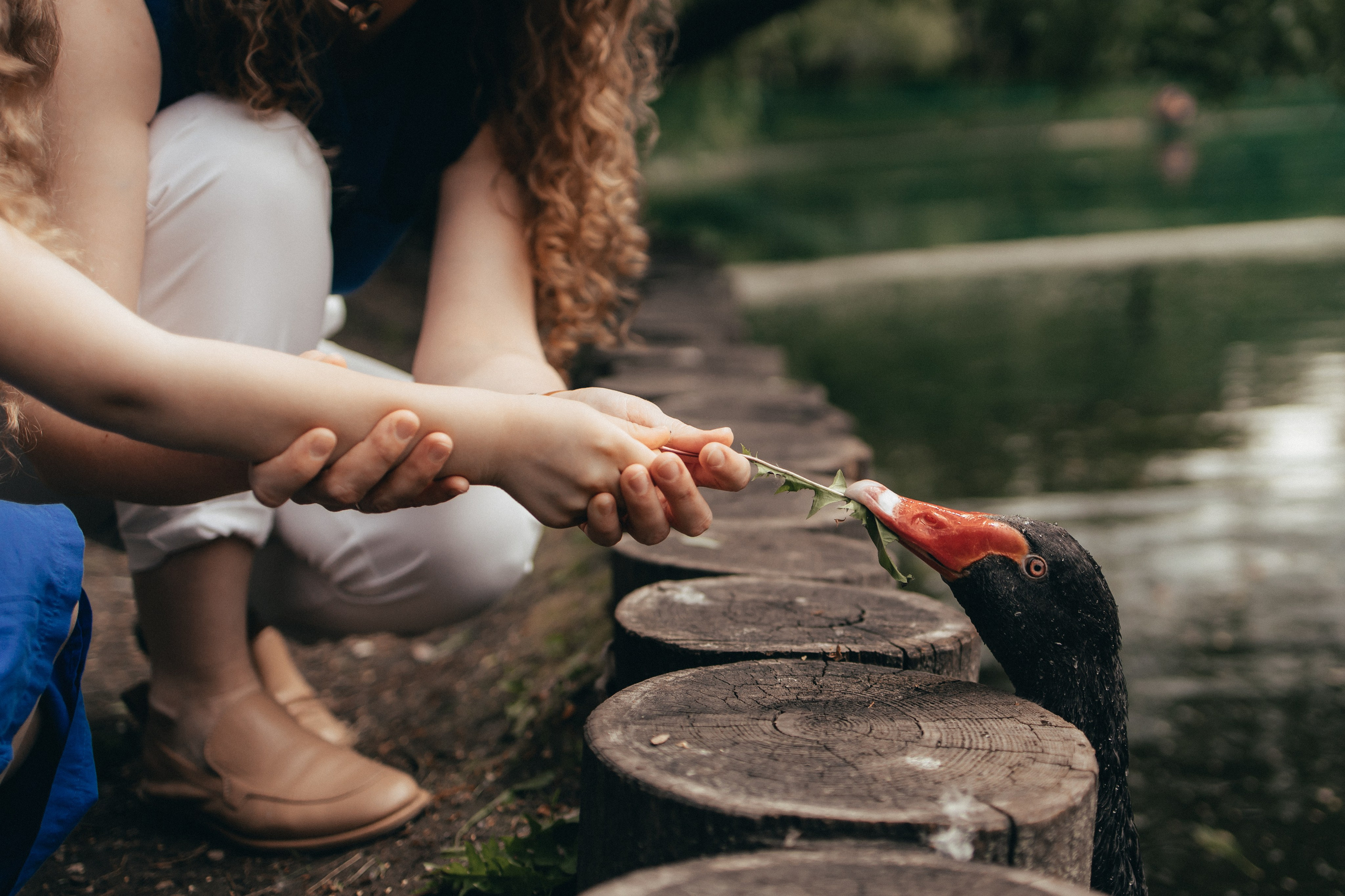 Семейный фотограф в Москве, Щелково, Фрязино _ Виктория Степанова