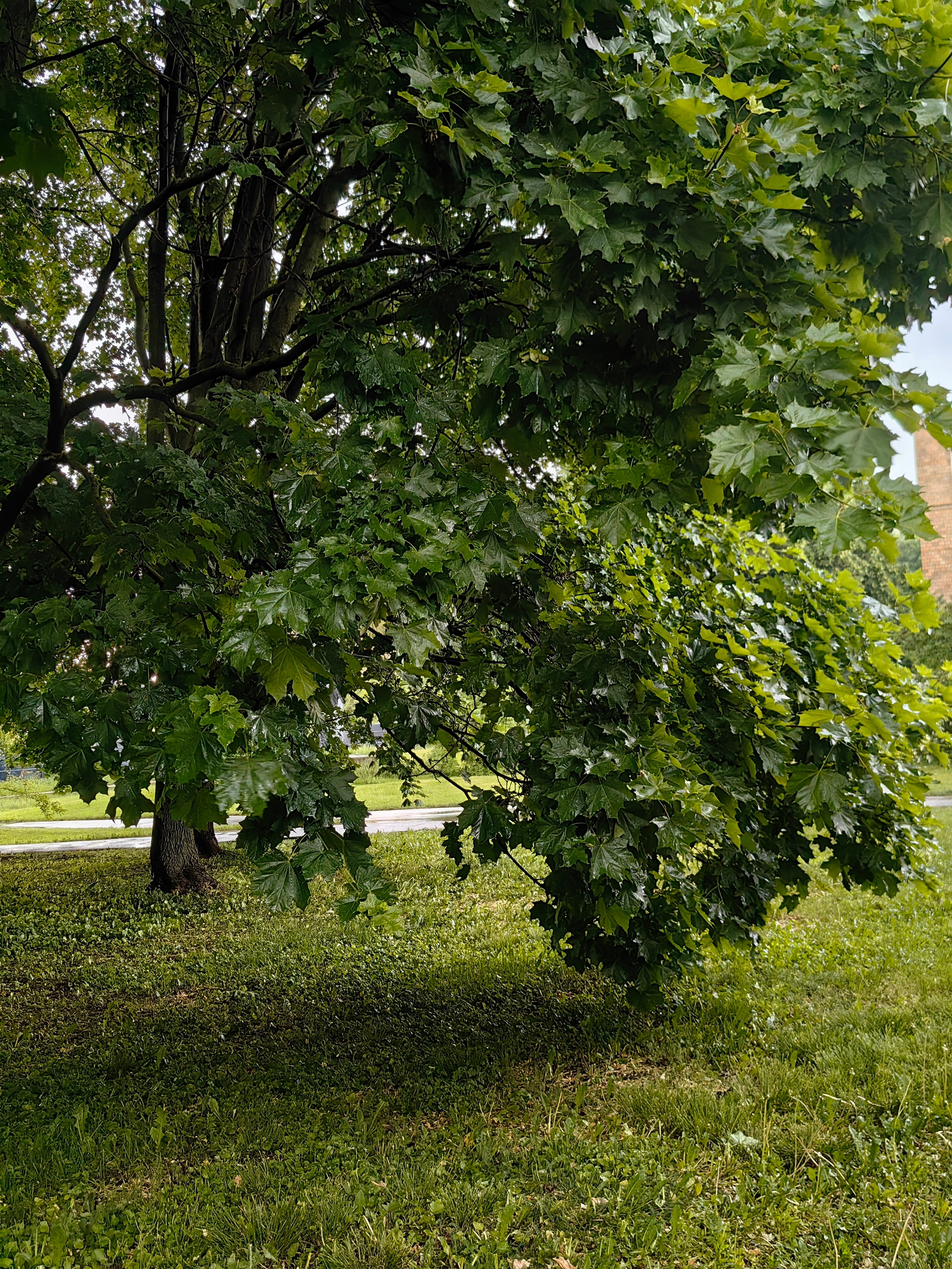 Парк БОТАНИЧЕСКИЙ САД обзор. Фотограф в Москве и Московской области (Ю-В) Олеся Макарова