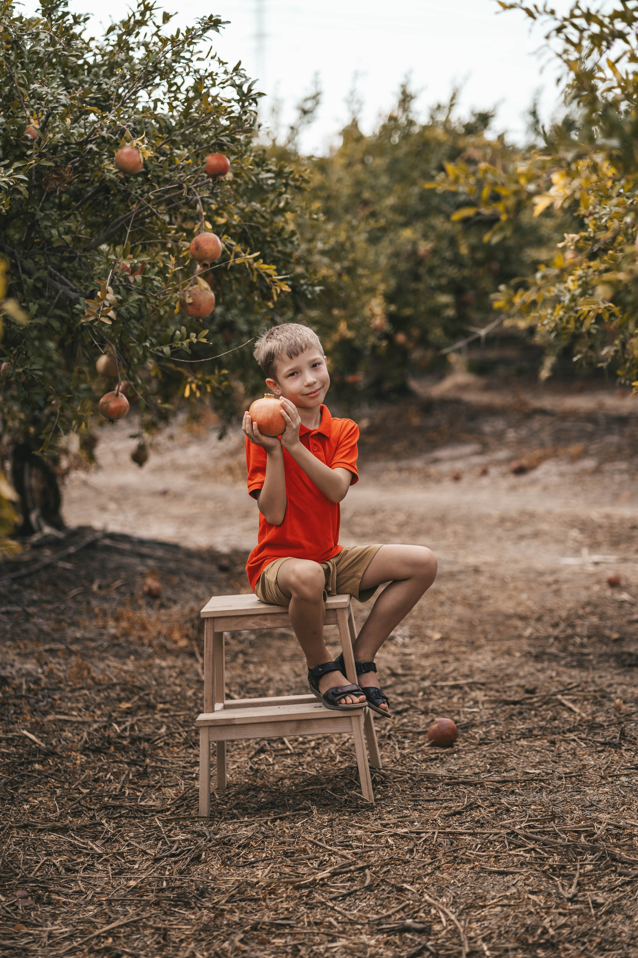Гранатовый сад. Семейный и детский фотограф в Израиле и Москве Дорошок Надя