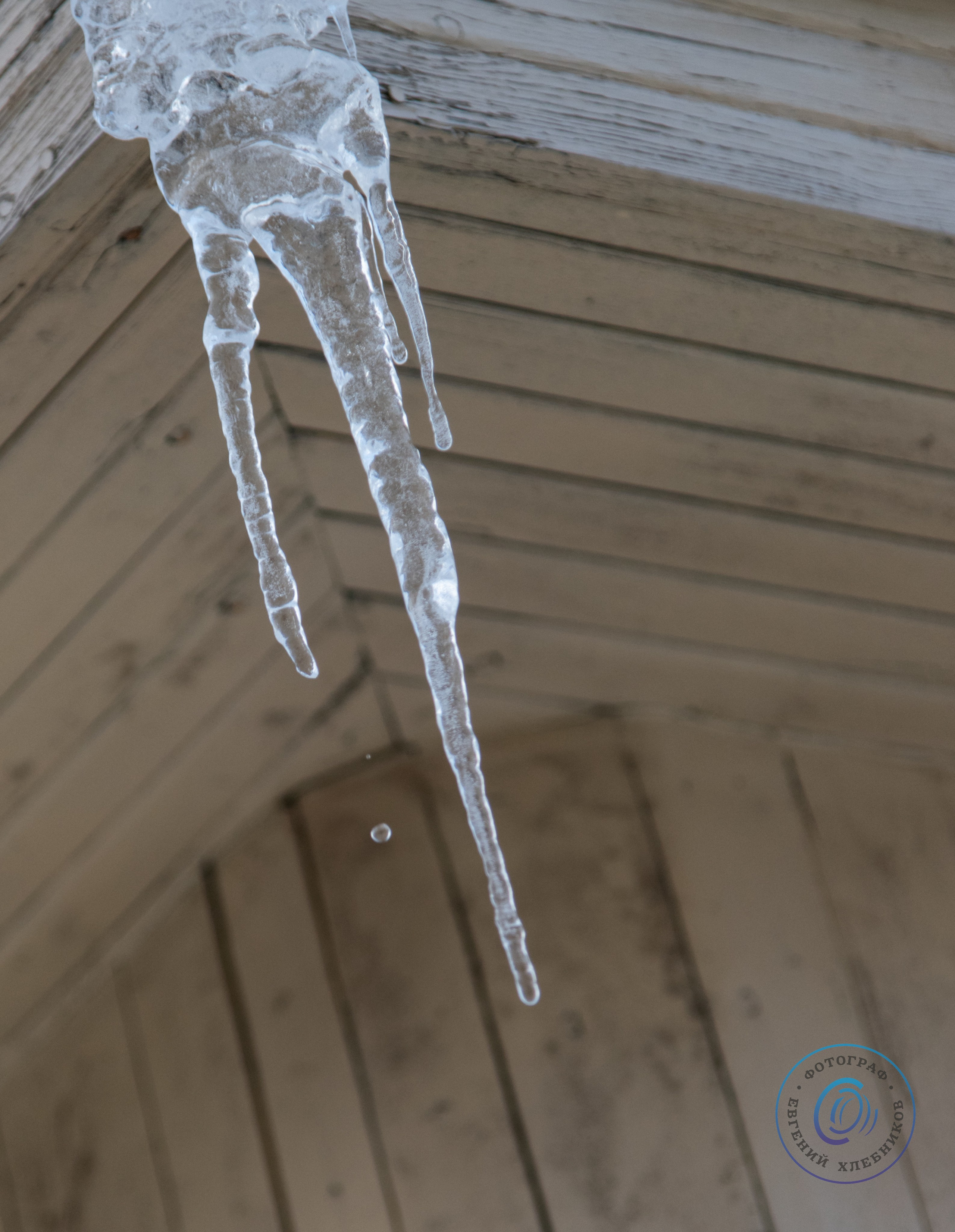 Фотозарисовки с паломничества по монастырям Ростова Великого. Event-фотограф Евгений Хлебников