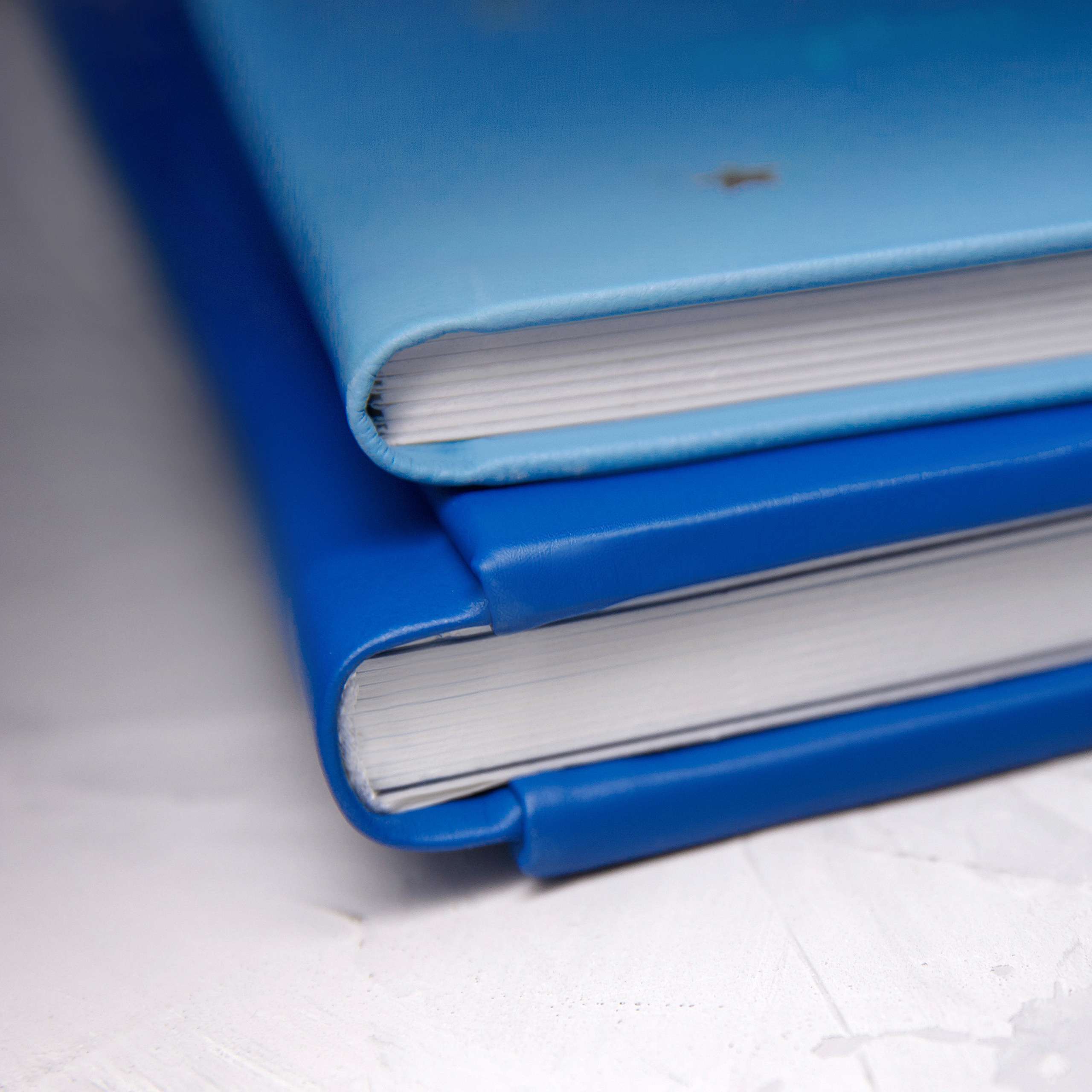 две синие книги