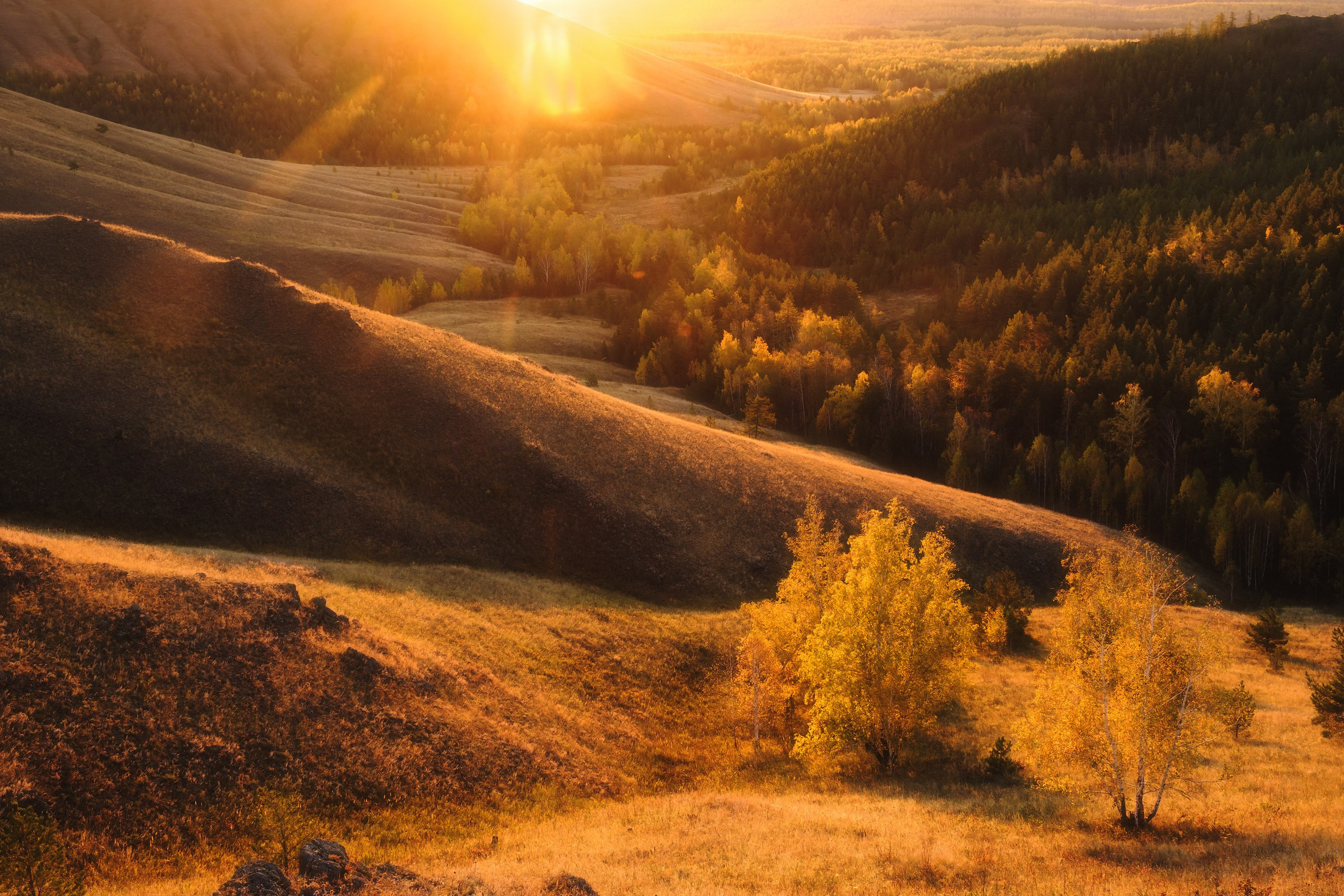 Золотой Башкортостан сентябрь