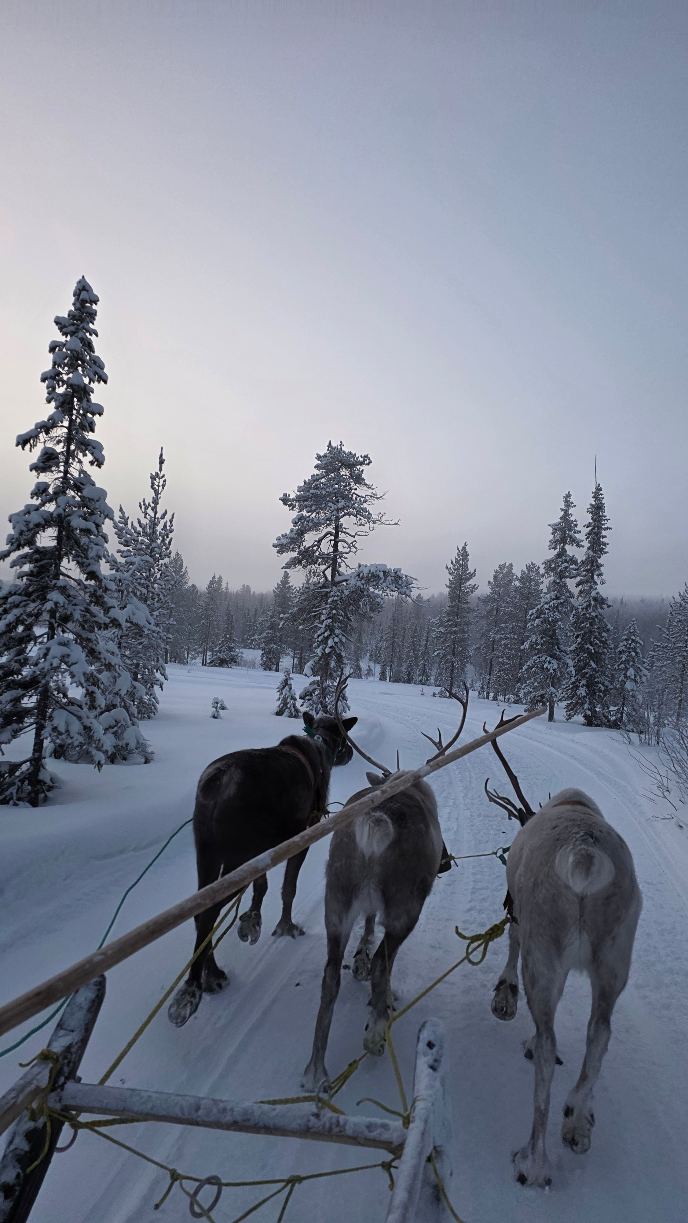 Кольский полуостров. Илья Варин — Фотограф Москва, Тверь