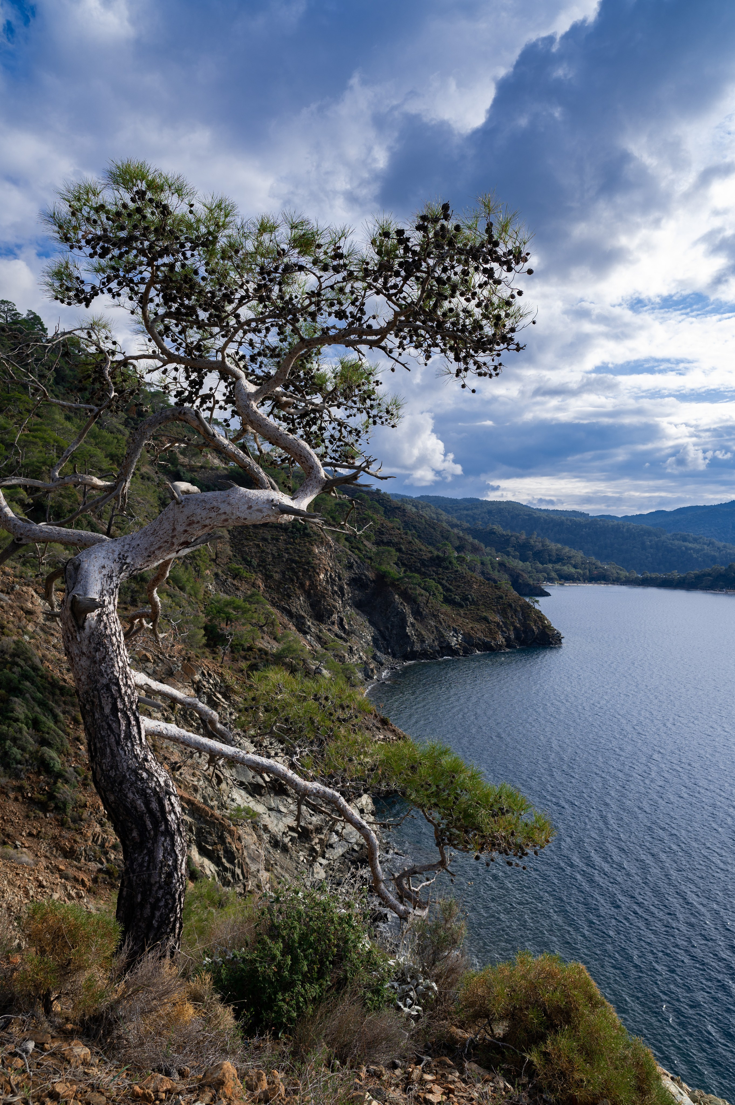 Photographer Yulia Lushnikova, Based in Valencia