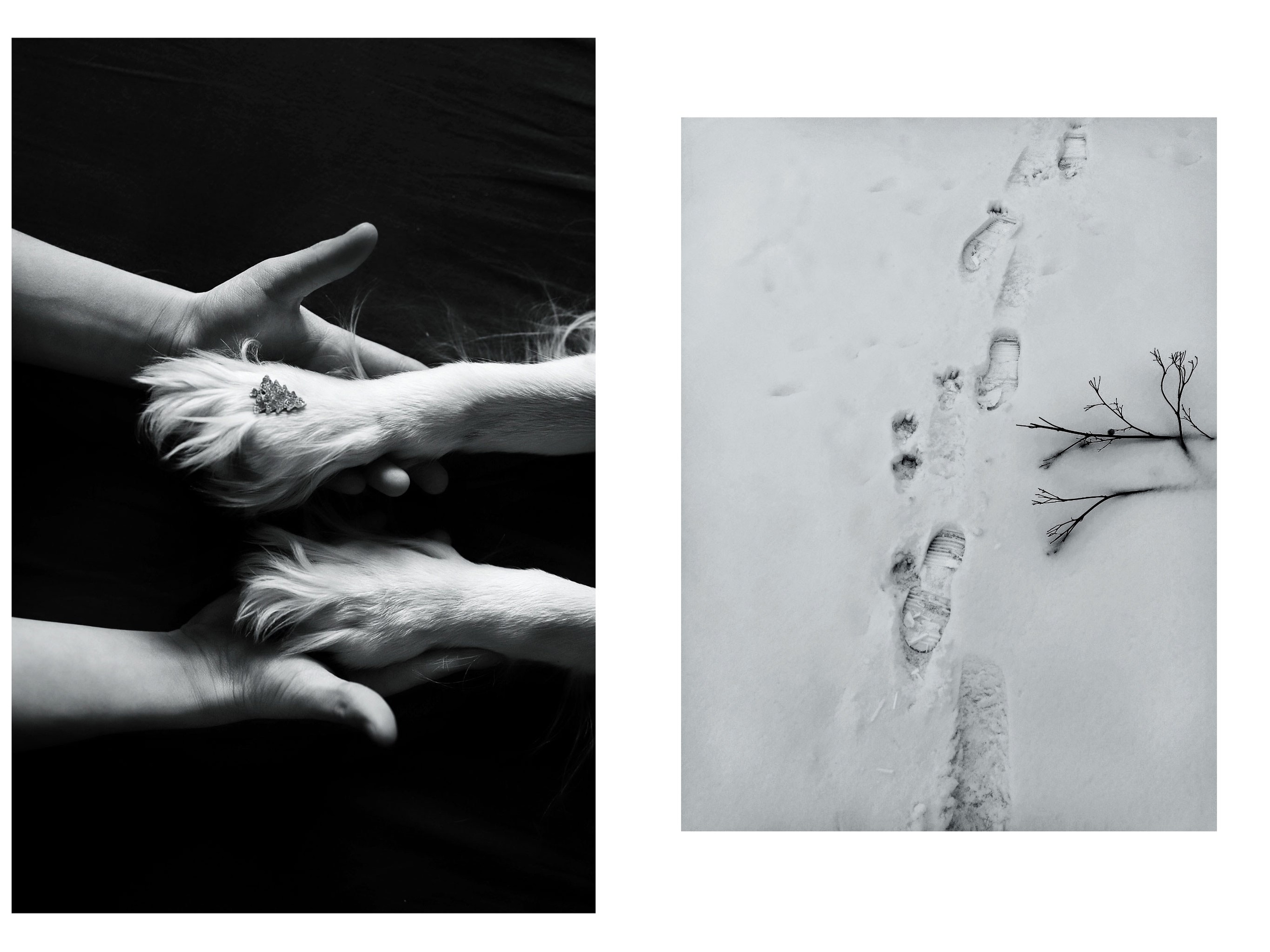 Connections (2020-2023). Tatyana Mazok creative photographer in Minsk