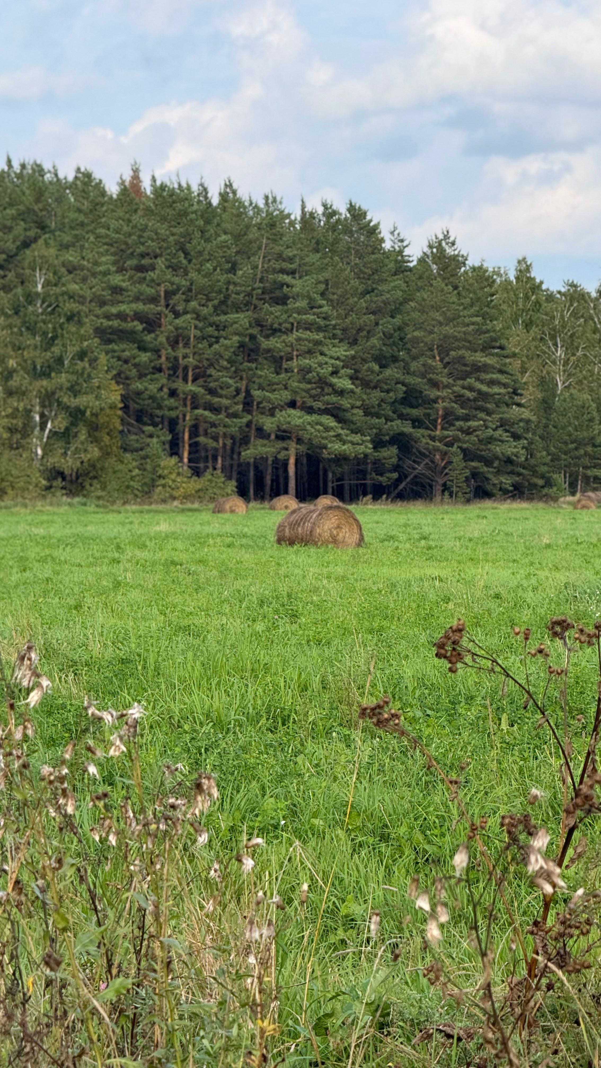 Гид от персонального стилиста: фотосессия в деревенском стиле. Екатерина Ананенко: персональный стилист из Красноярска