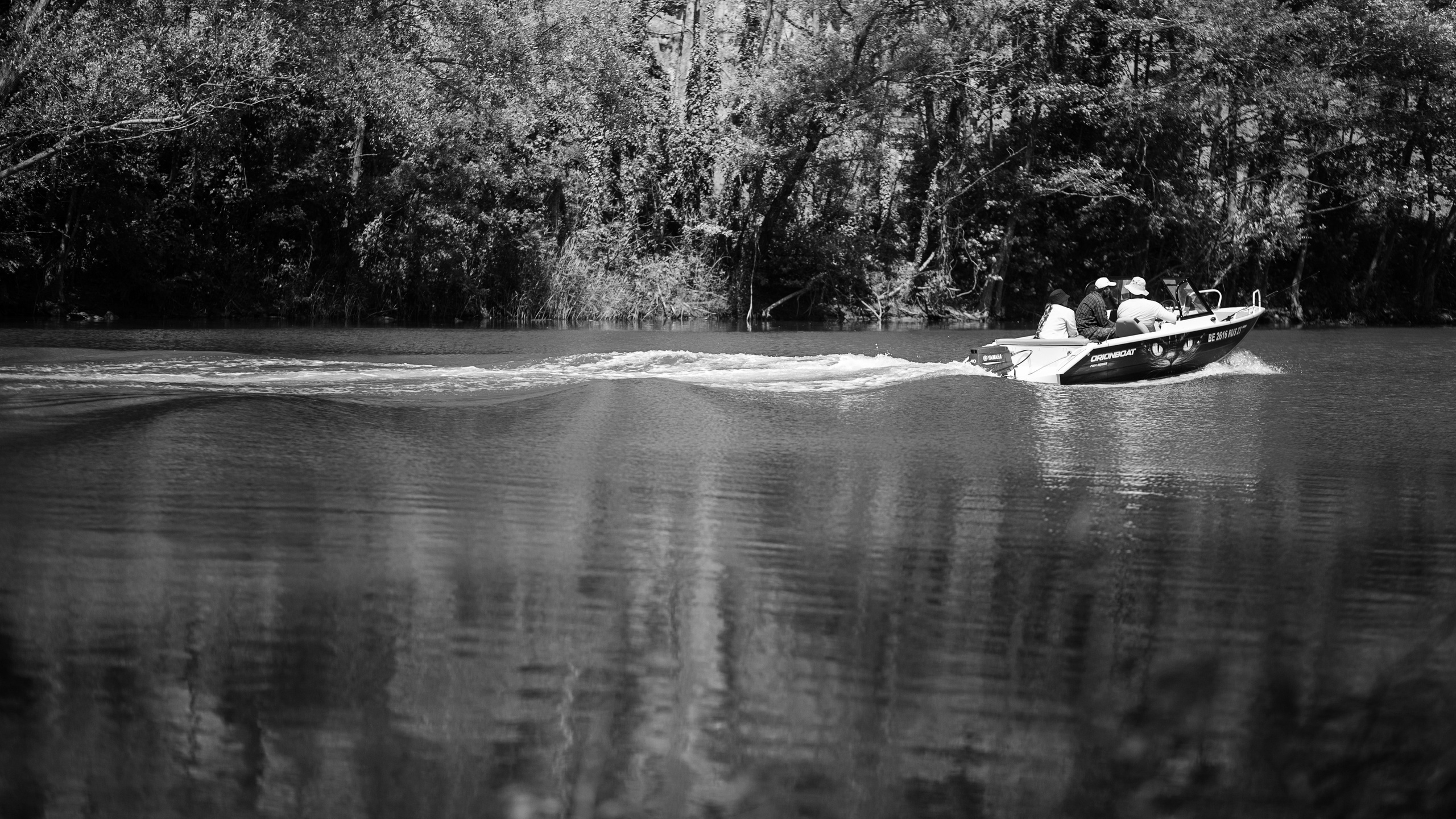 Улицы Люди на улицах Природа Животные — фотограф Оля Волчкова