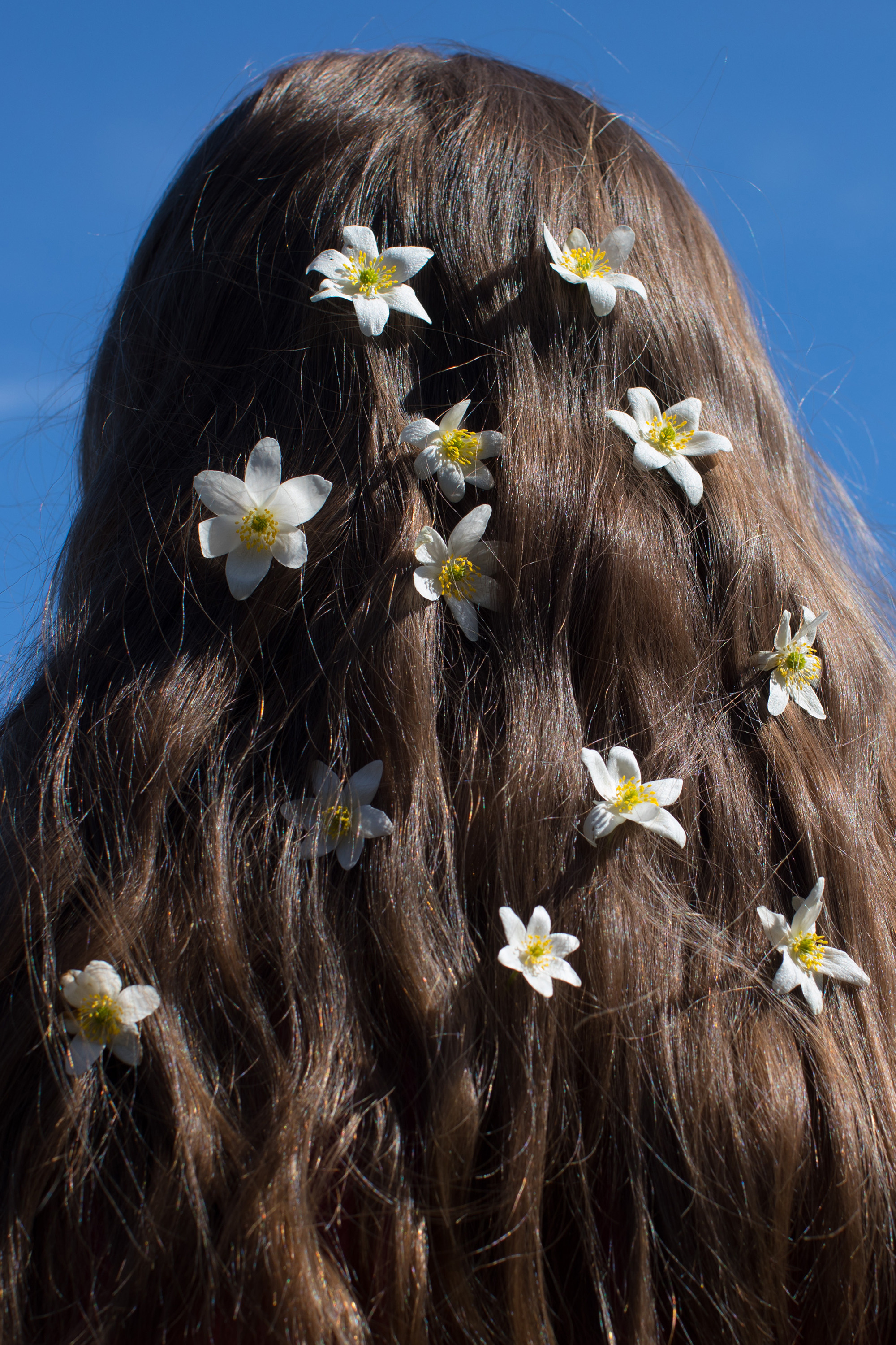 Forgotten. Заставка