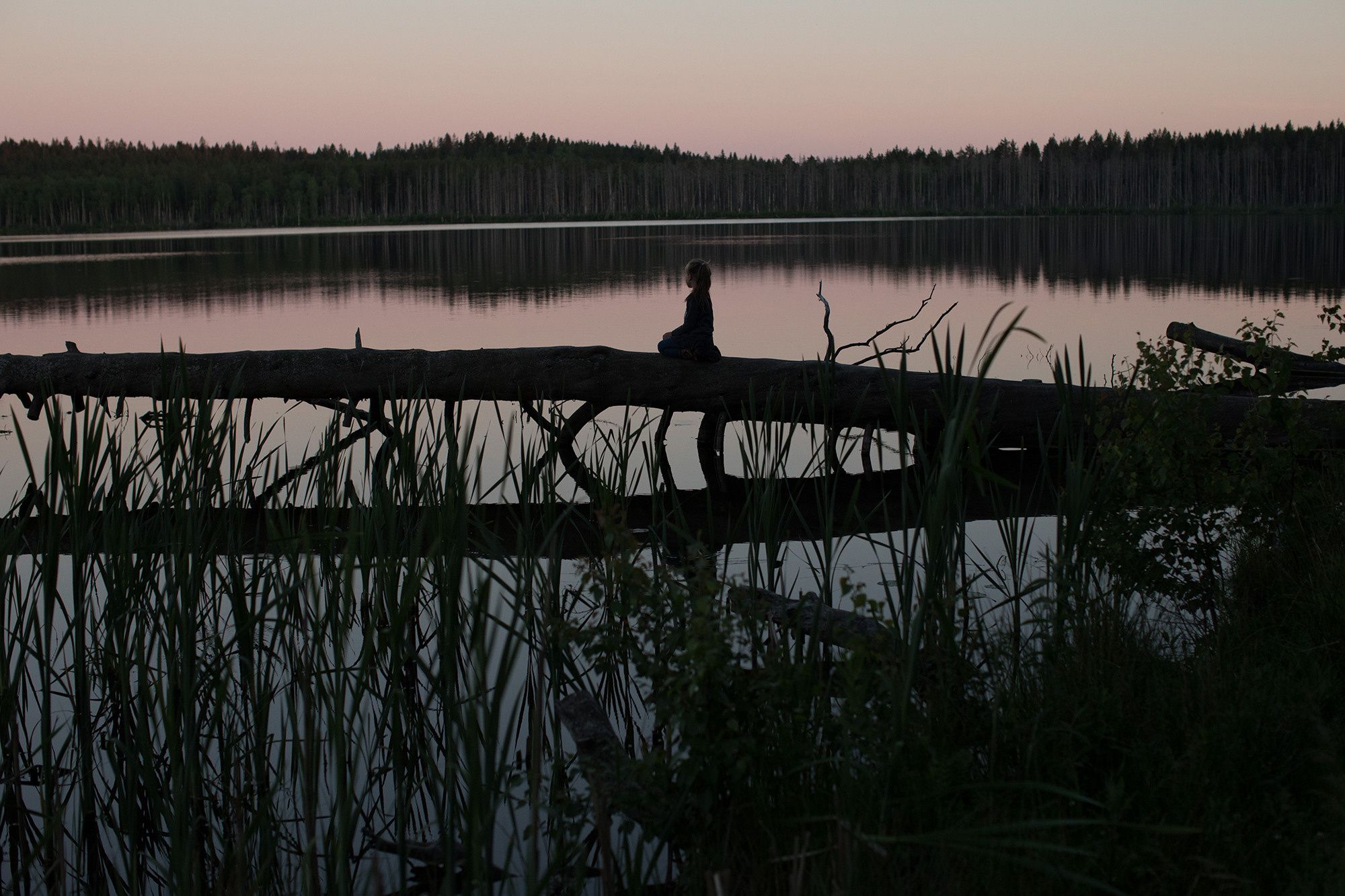 Forgotten. Заставка