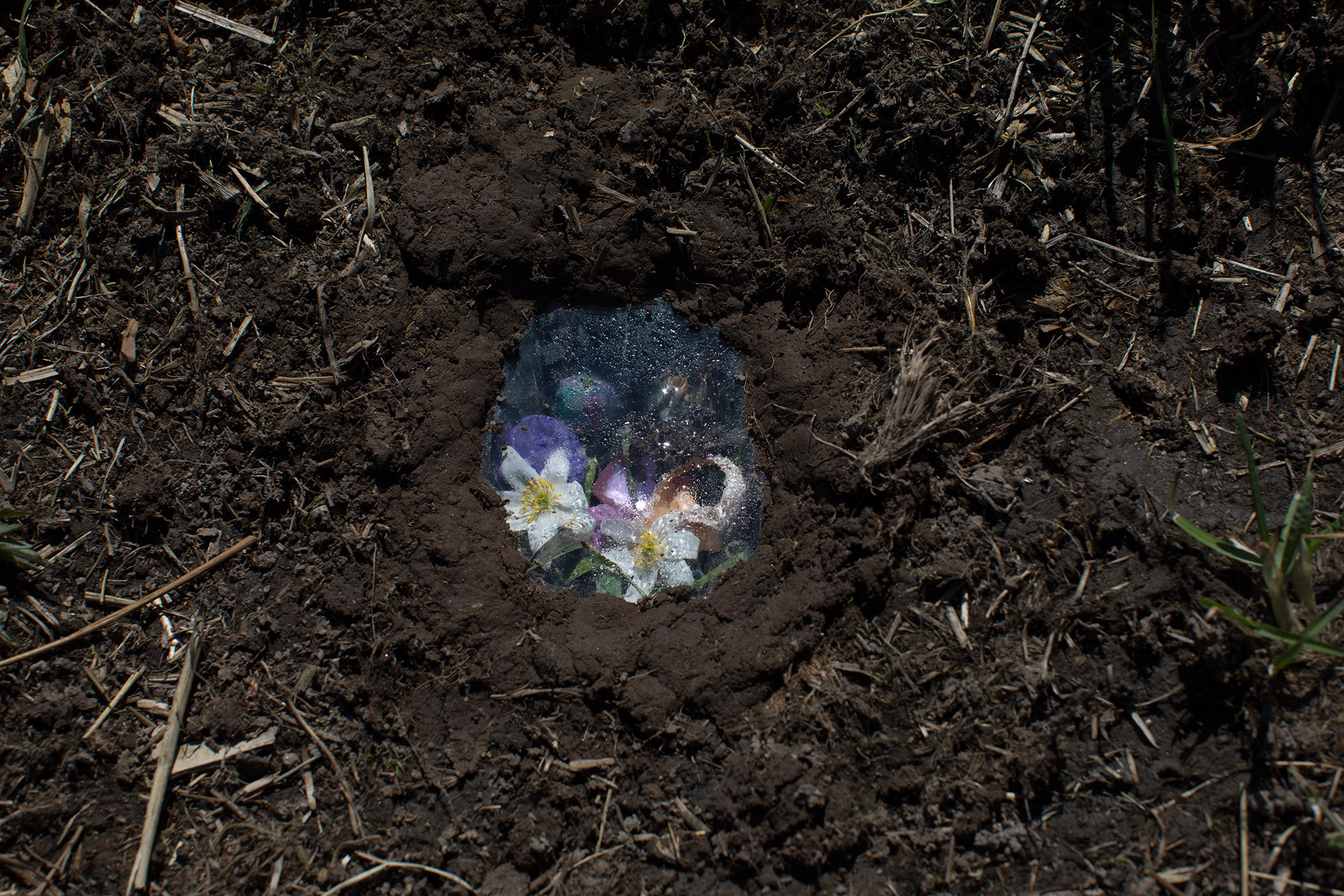 Forgotten. Заставка