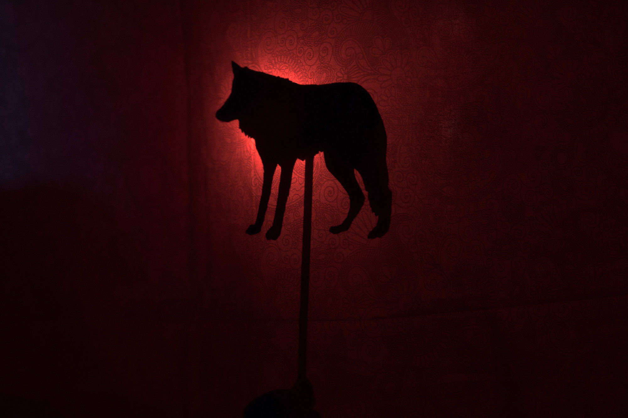 Forgotten. Заставка