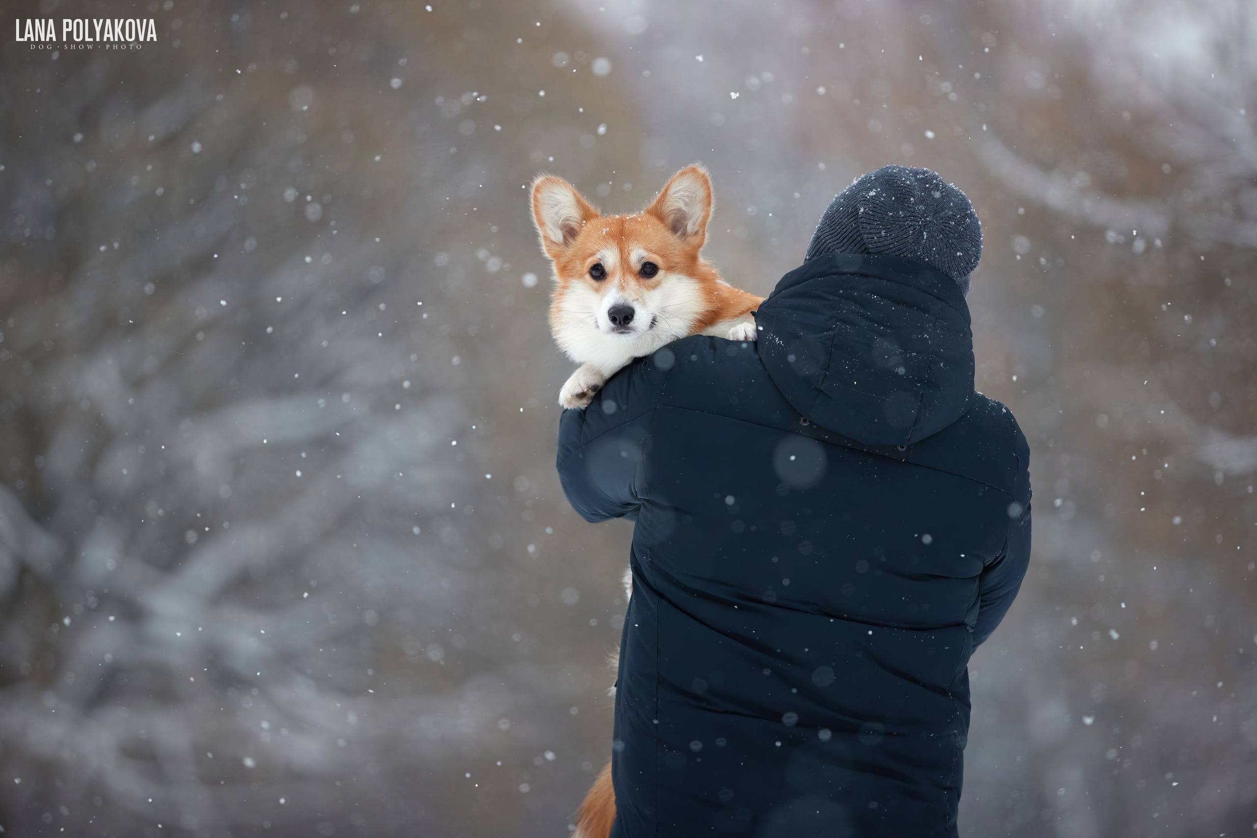 ВЫЕЗДНЫЕ ФОТОСЕССИИ СОБАК. ФОТОГРАФ-АНИМАЛИСТ l LANA POLYAKOVA