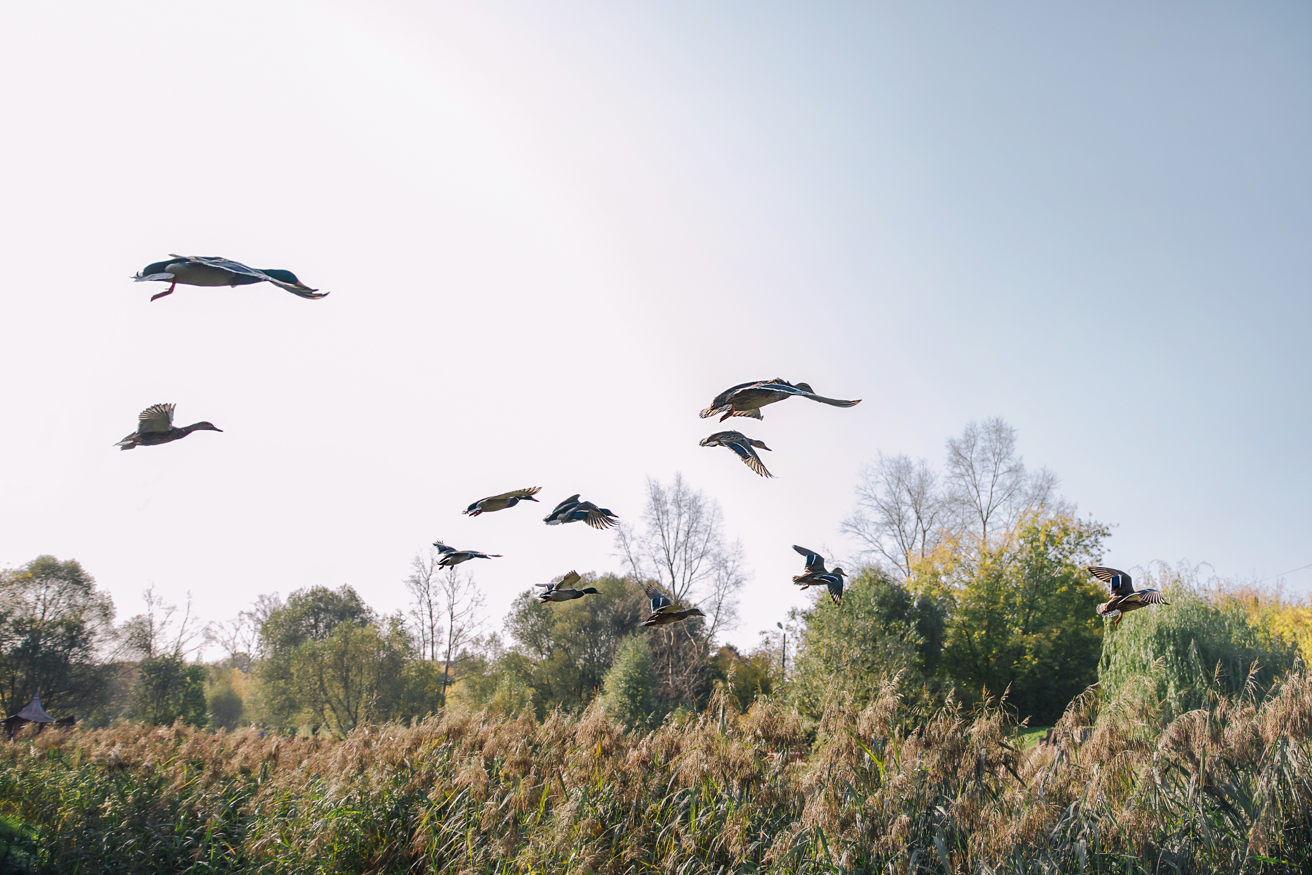 Слава и Настя. Светлана Иванова - профессиональный фотограф
