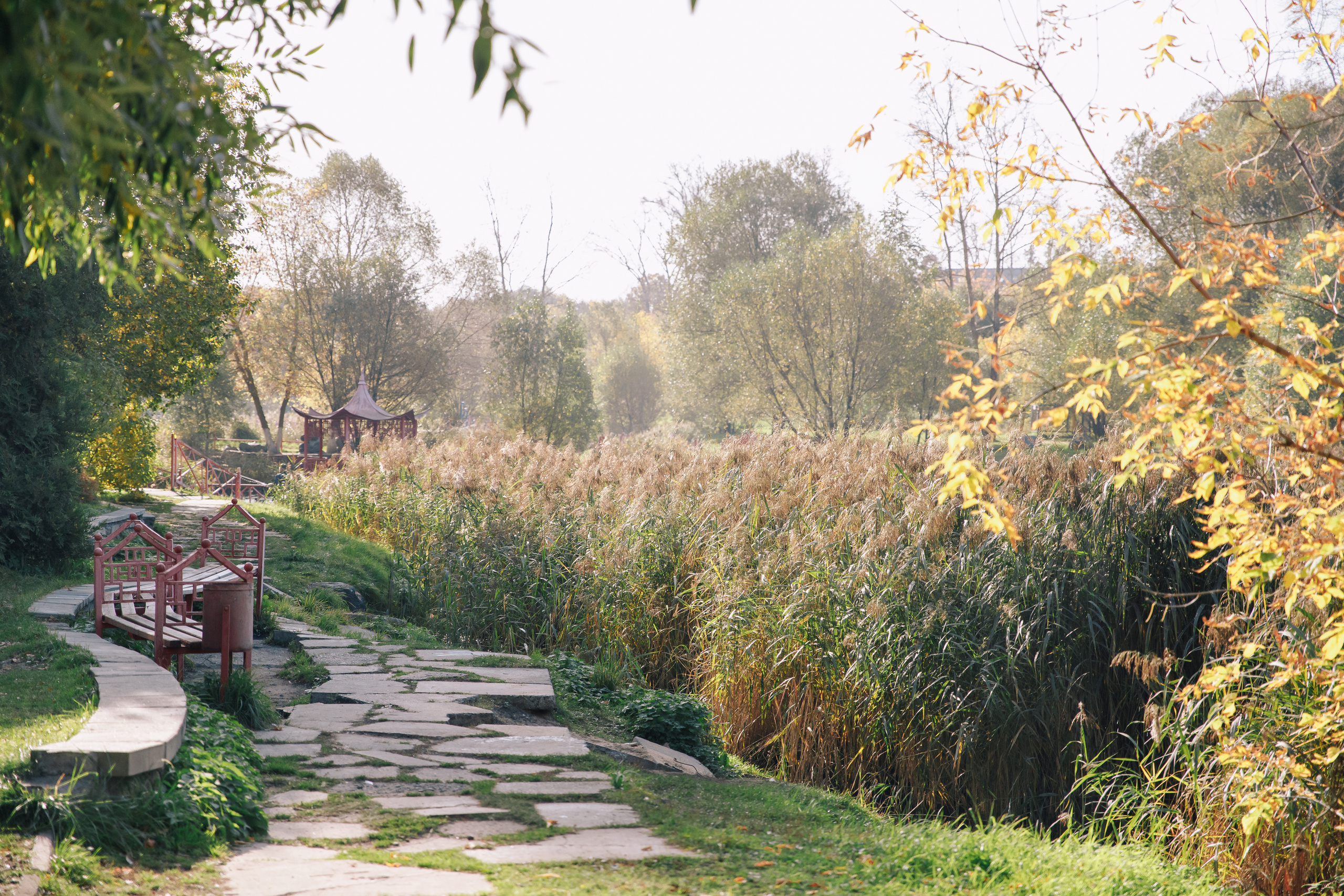 Слава и Настя. Светлана Иванова - профессиональный фотограф