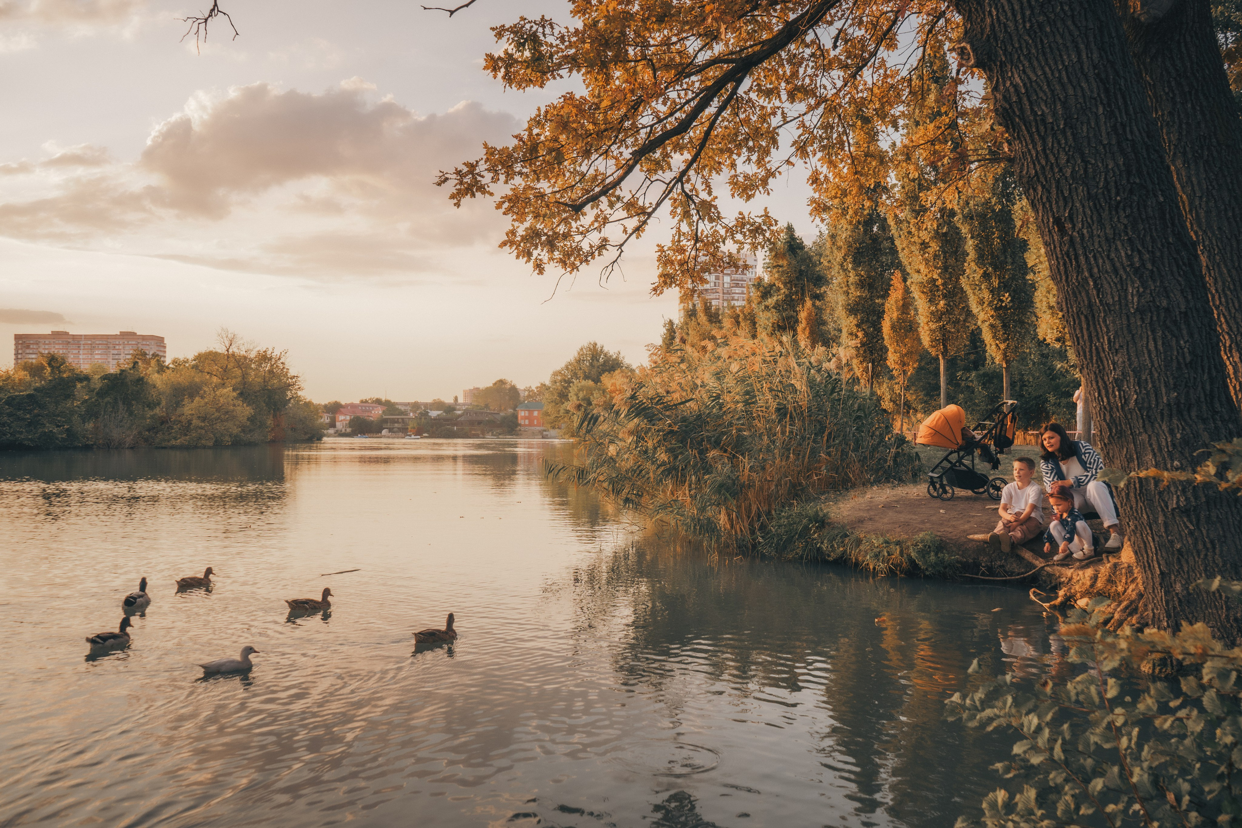 Фотограф СЕМЬИ и ДЕТСТВА в Краснодаре и Краснодарском крае Екатерина Москат