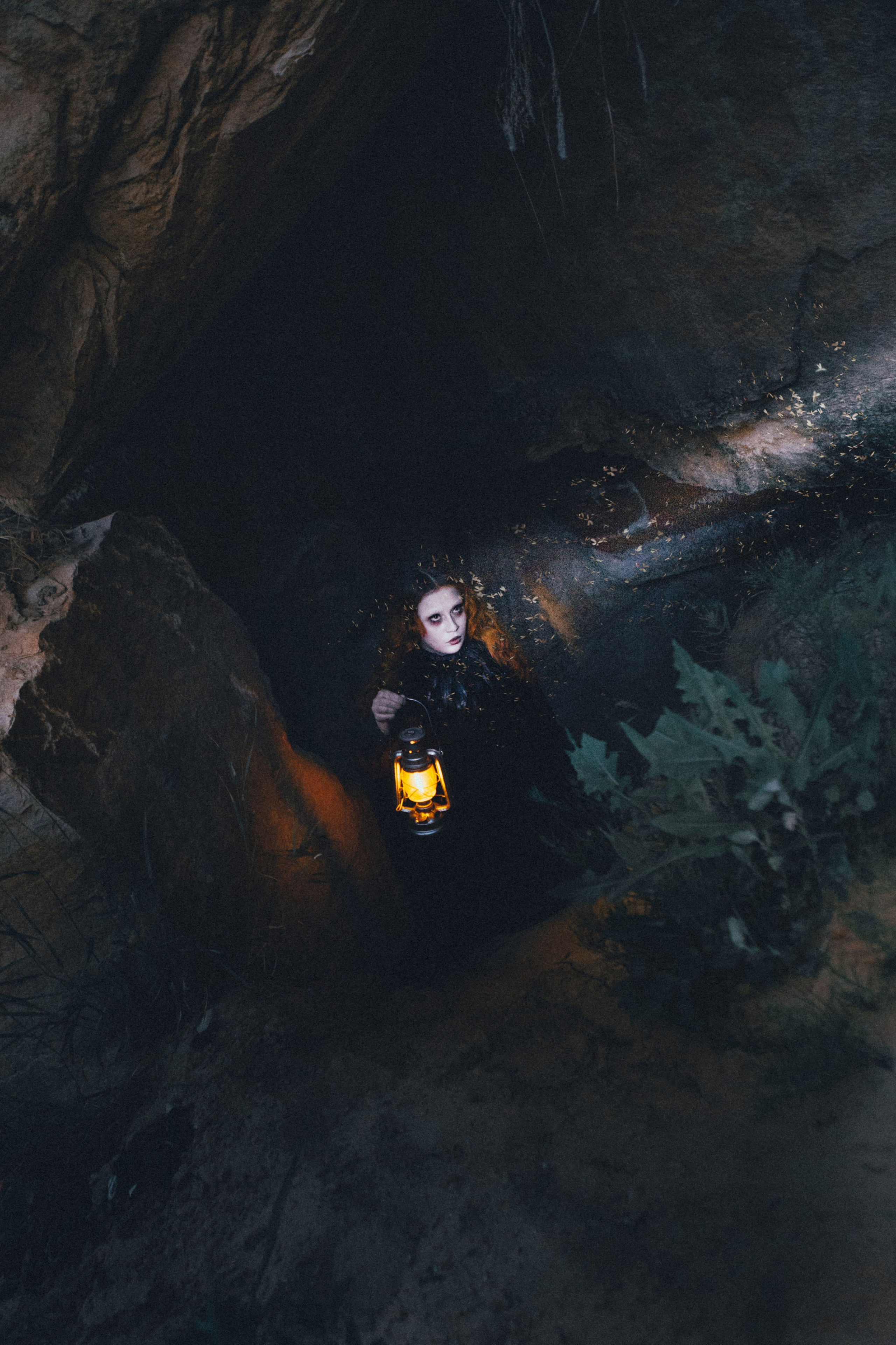 Кража луны. Allirubrum