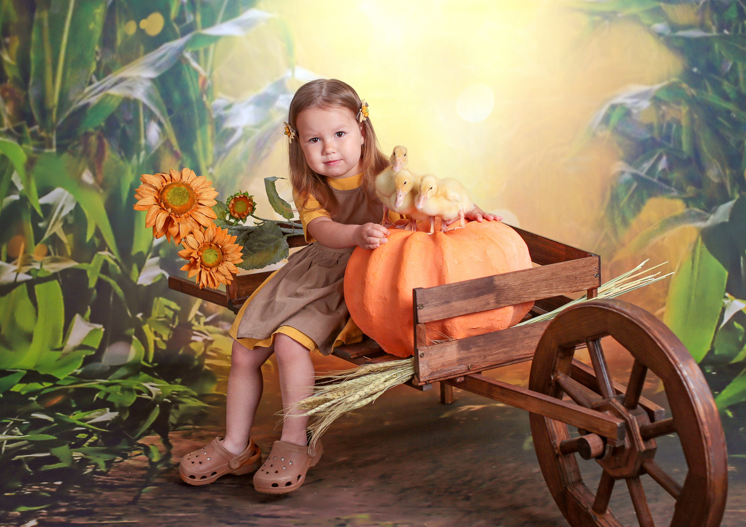 Фотосессия с Утятами 2021 год. Фотограф в детский сад Елена Колчева Новокузнецк