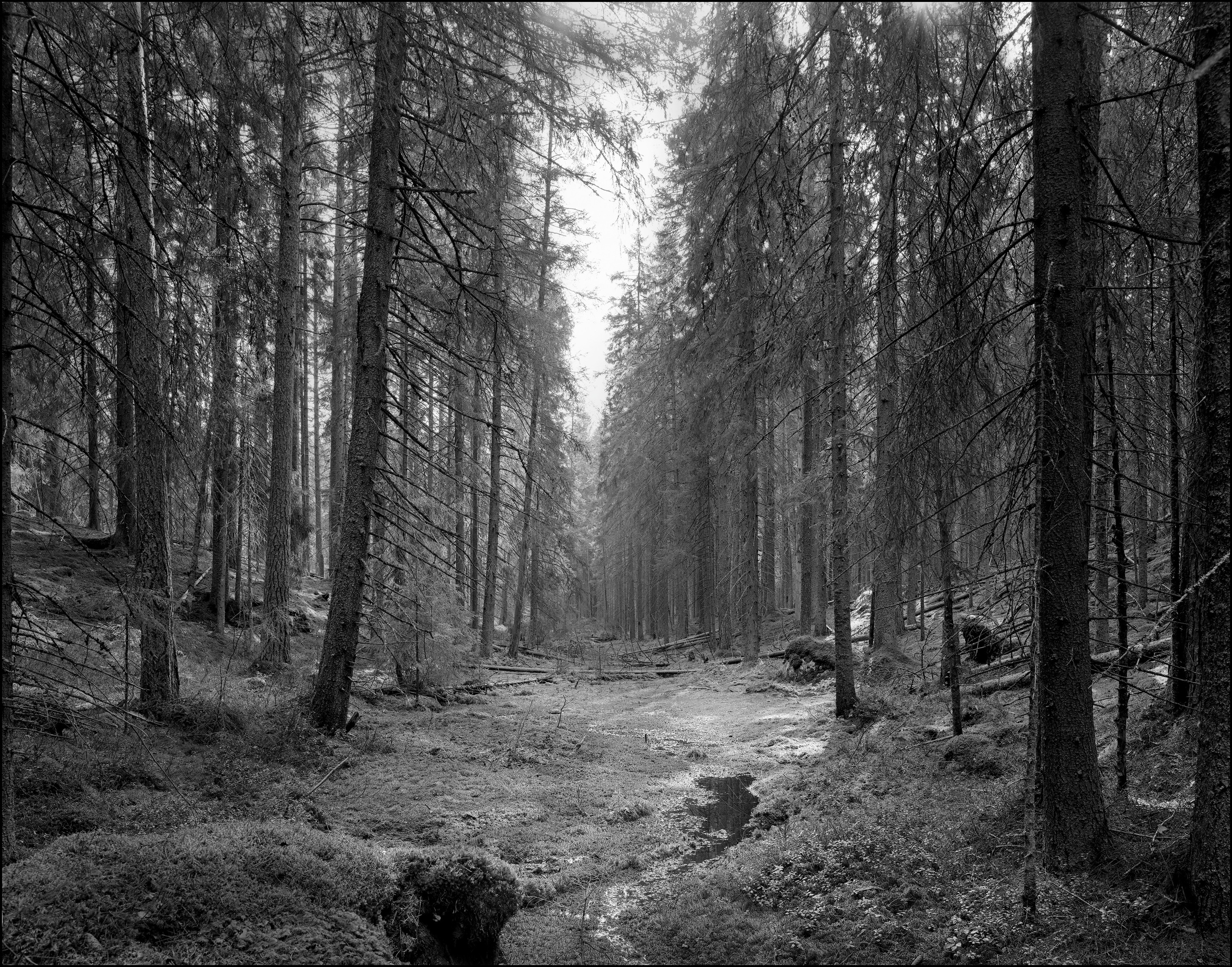 Карелия. Sergey Kondriuk art-photographer | artist