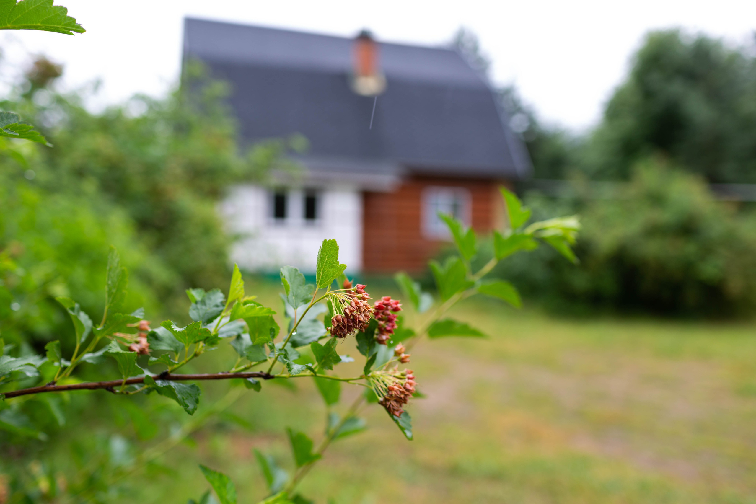 Оздоровительный комплекс Шалово-парк Серебряные ключи