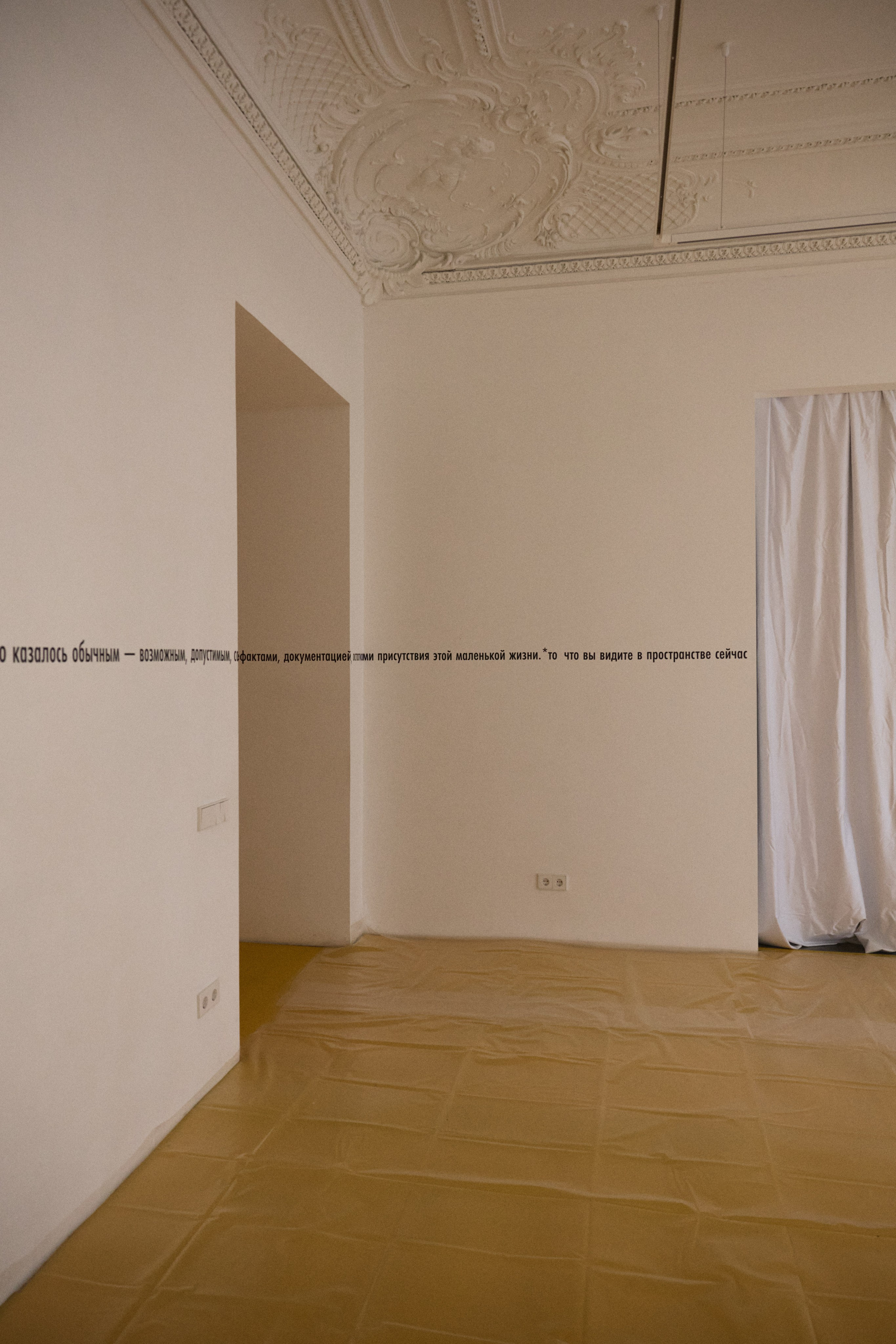 Focus: Performance. Anna Zavediy