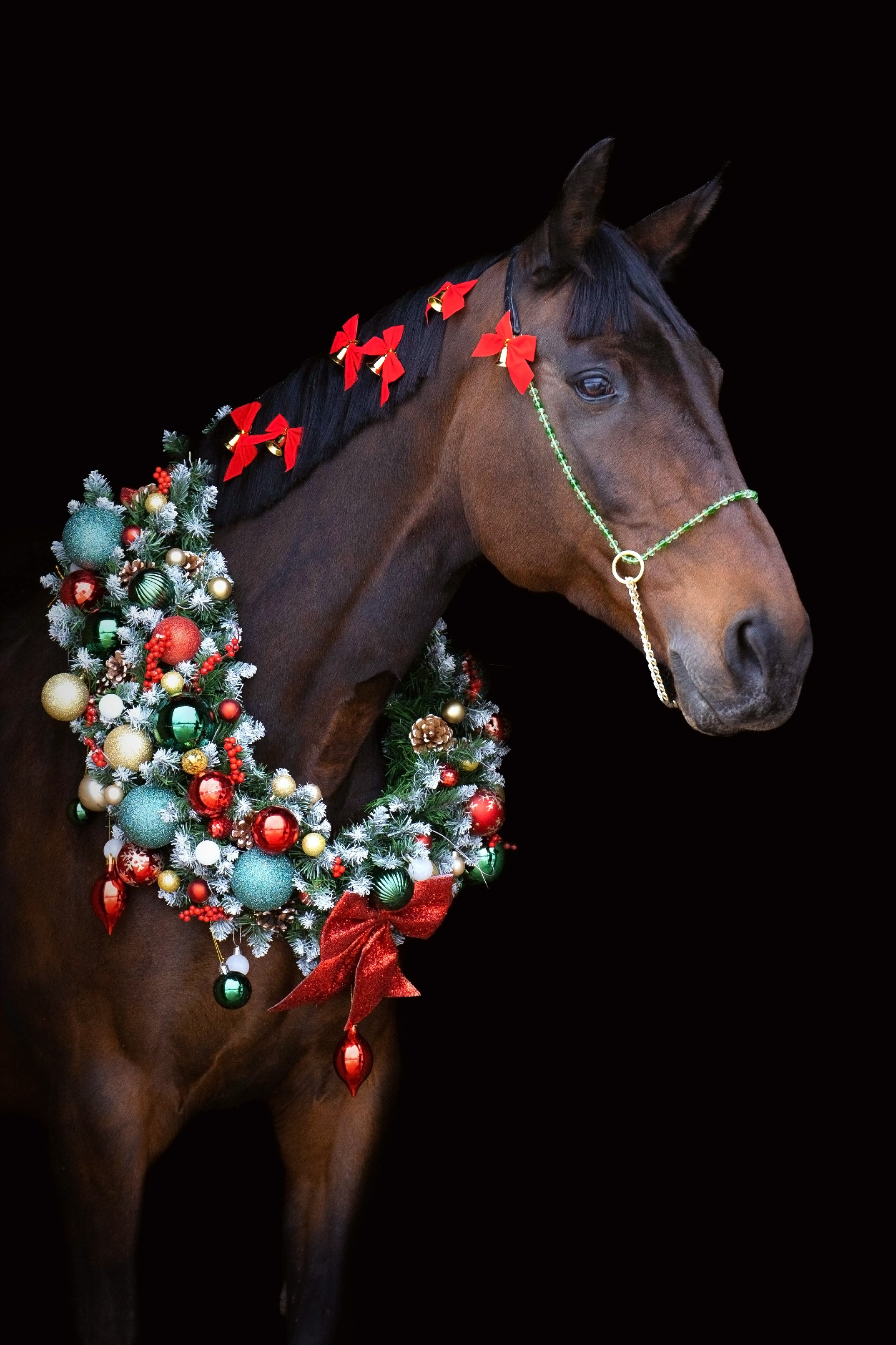 Новогодние съемки 12–19 декабря. Фотограф Дарья Соколовская