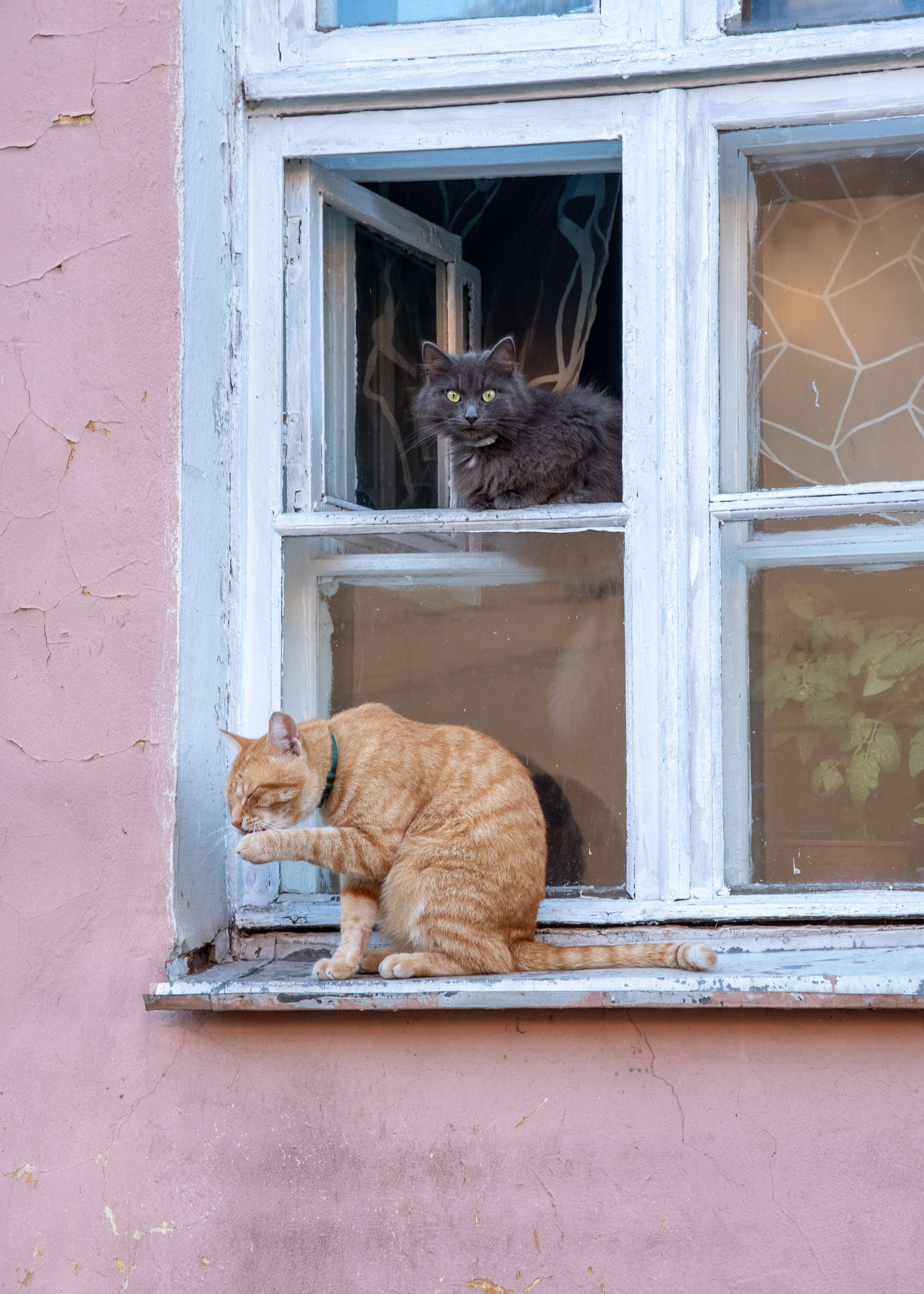 Балтийск. Фотограф Юлия Зимина
